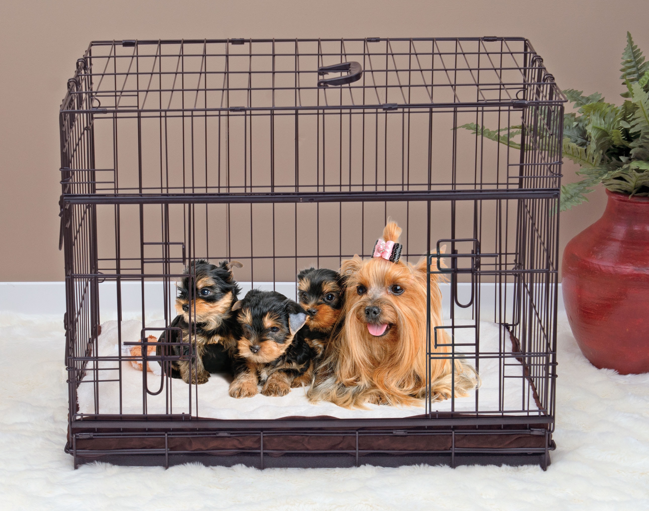 The 8 Best Dog Crates for Puppies Big and Small
