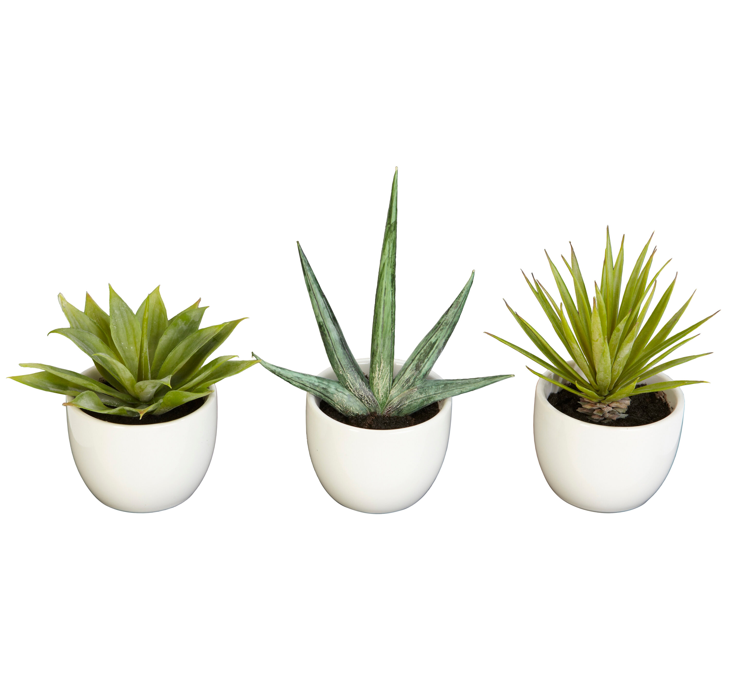  Southwest Collection (Set of 3)