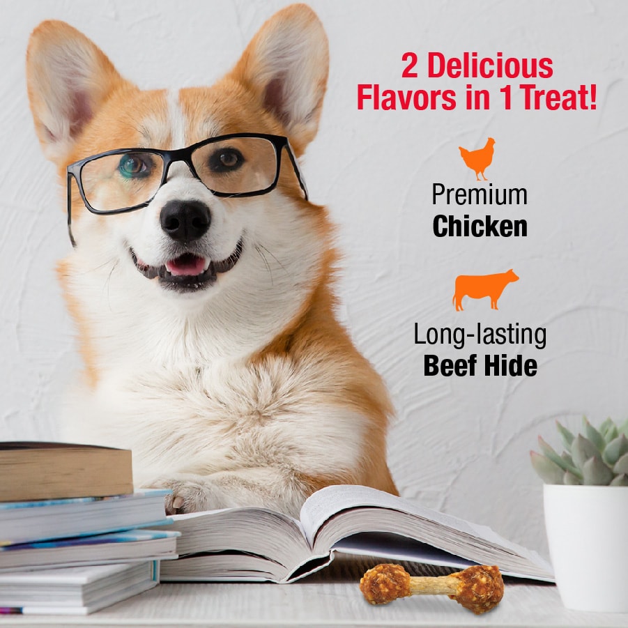 Good 'n' Fun P-94422 Dog-Treats - View #2