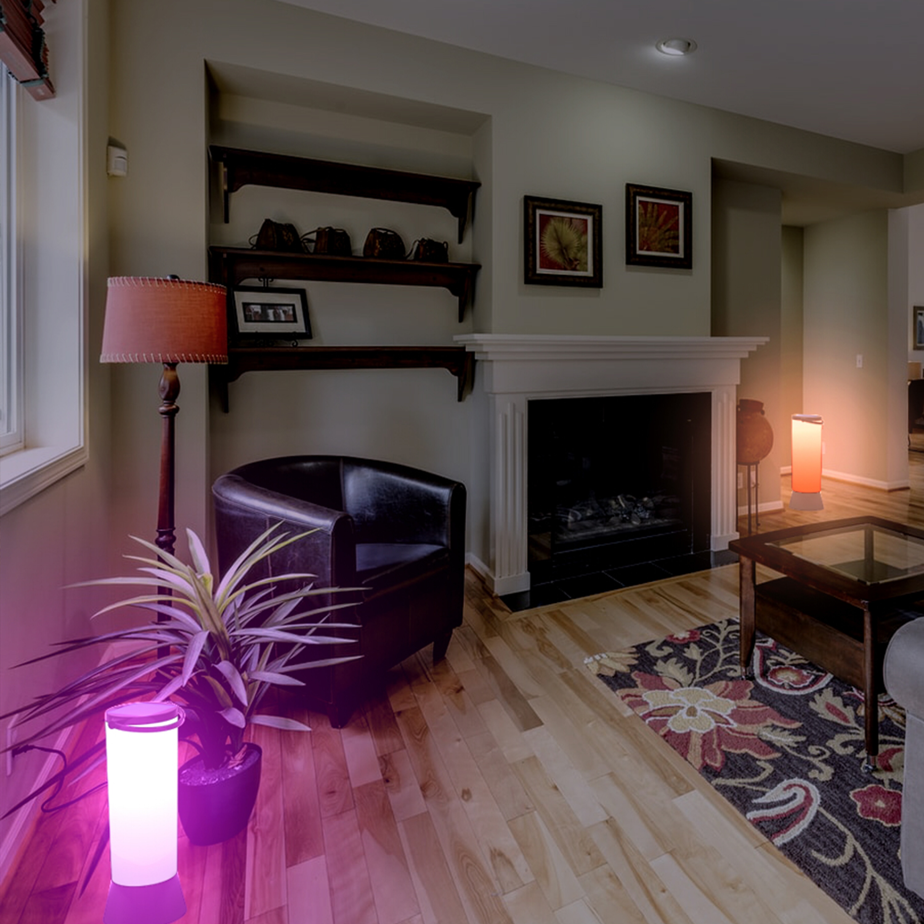 TECHKO STL-213 Path-Lights - View #8
