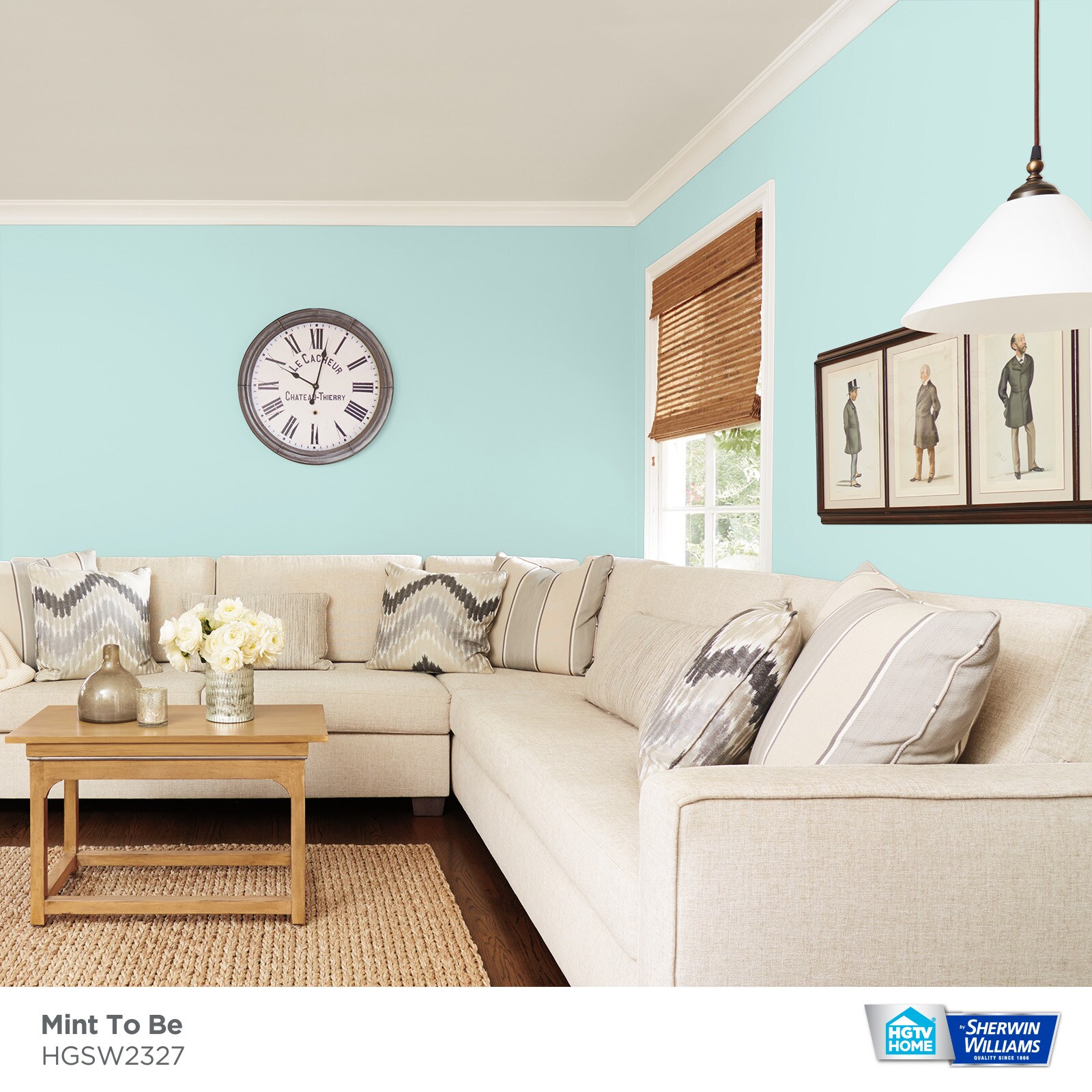 HGTV HOME by Sherwin-Williams HGSW2327 Paint-Samples - View #3