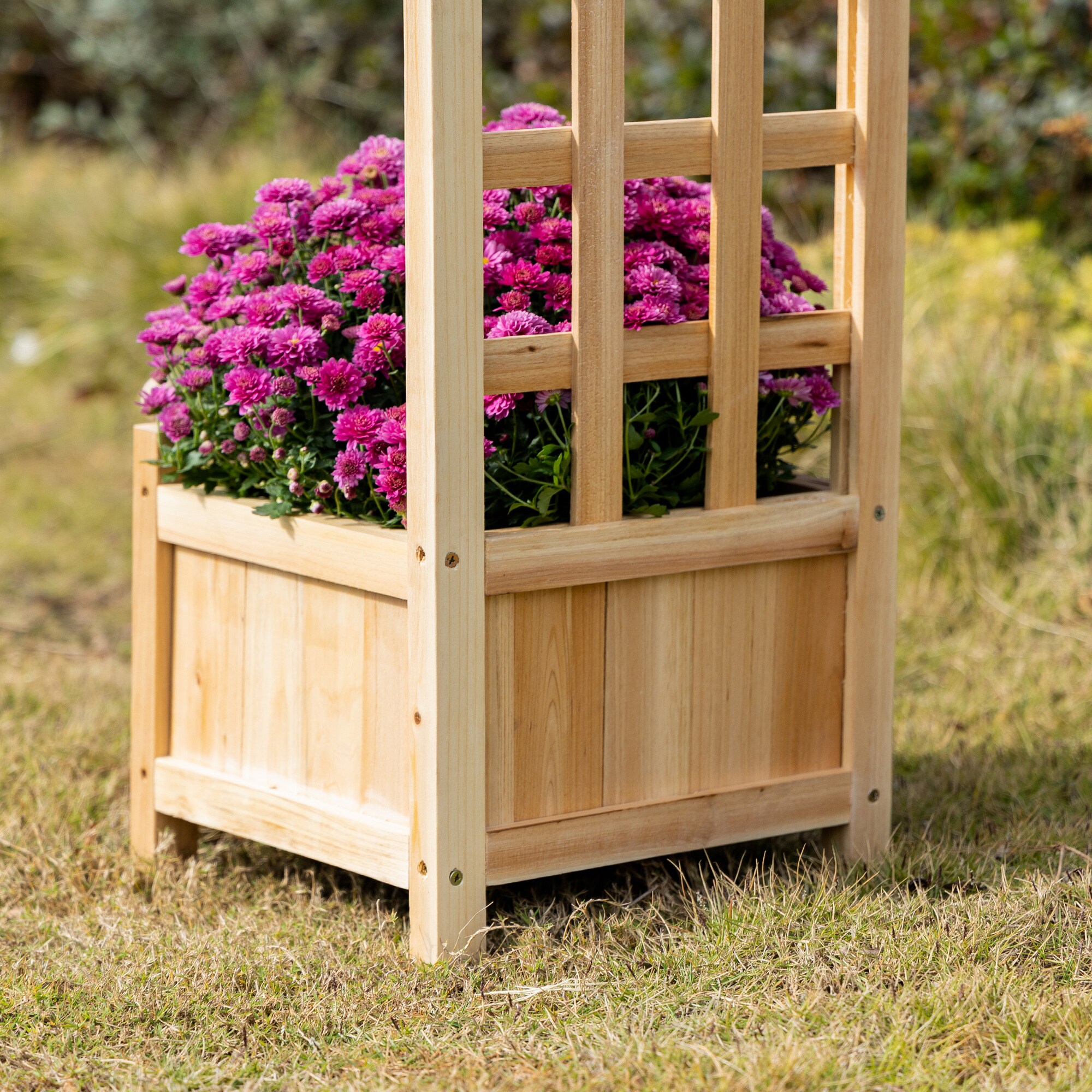 Damerin W225RA Raised-Garden-Beds - View #6