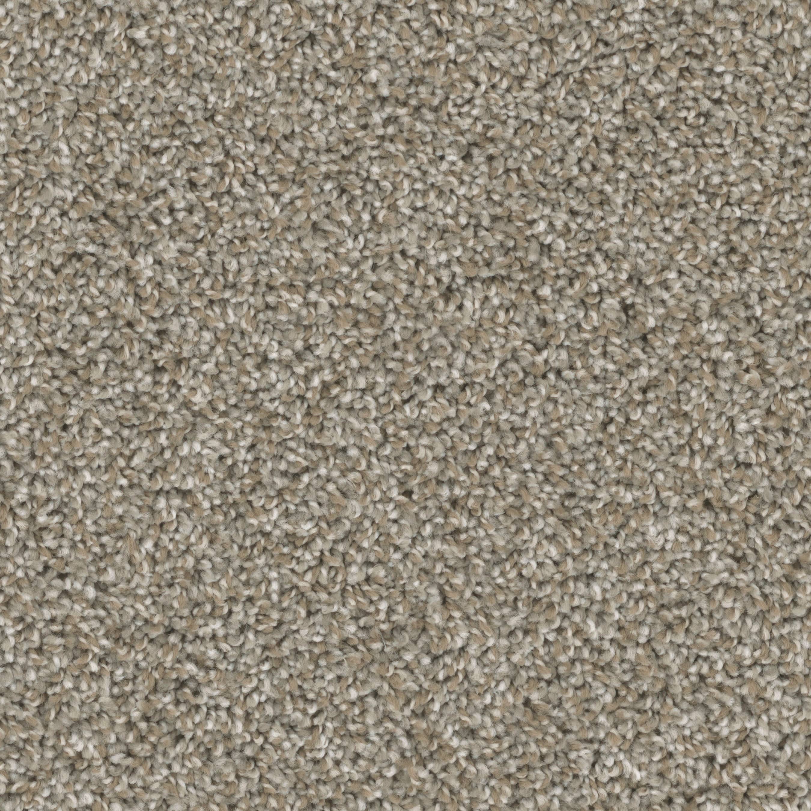 STAINMASTER PetProtect S9355-942-1200-MO Druid Hills I City Life Multi-Colored 55-oz sq yard Nylon Textured Indoor Carpet