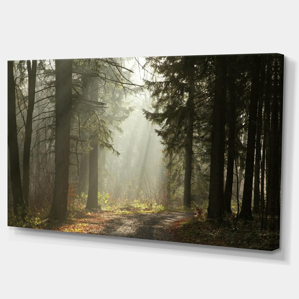 Designart 20-in H x 40-in W Landscape Print on Canvas at Lowes.com