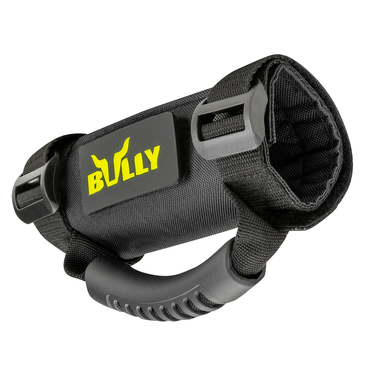Bully UTV Roll Cage Grab Handle Pair BLK in the Recreational Vehicle  Accessories department at