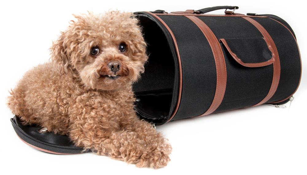 Black and Pink Designer Dog Carrier Exclusive Dog Carrier Bag 