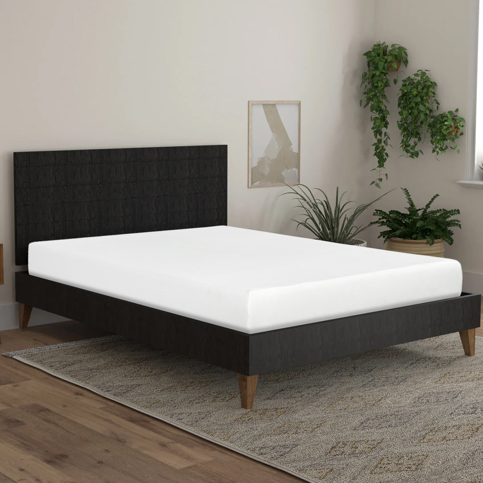 Maocao Hoom JL1P199712 Mattresses-Boxsprings - View #2