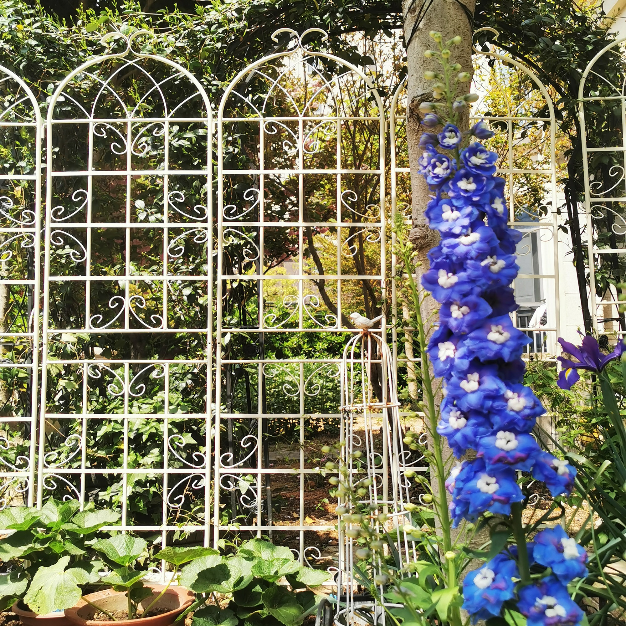AHIOU HOME ZAAHG-104502GT Garden-Trellis - View #3