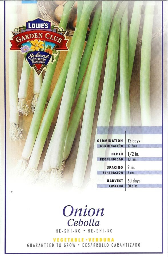Ferry-Morse NURSERY He-shi-ko Onion Plant in