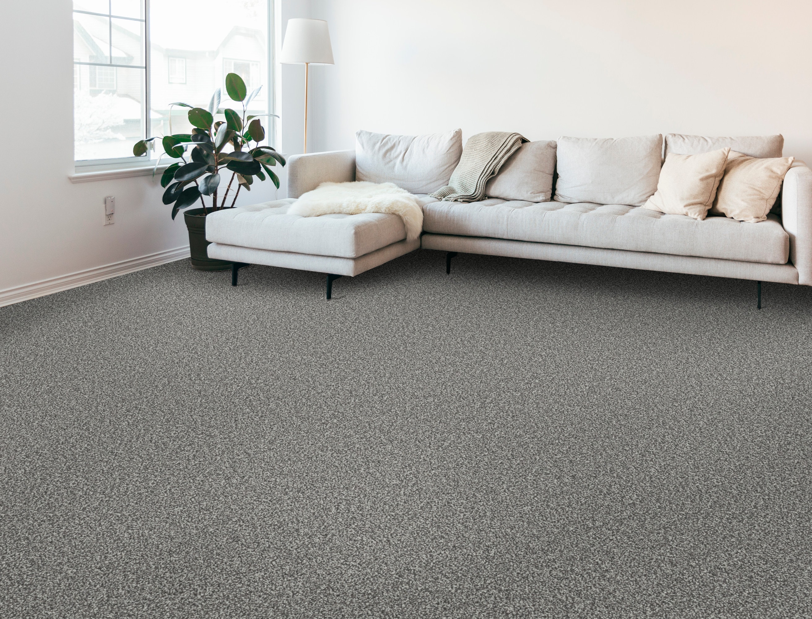 STAINMASTER PetProtect 7L928-536-SAMP Carpet-Samples - View #2