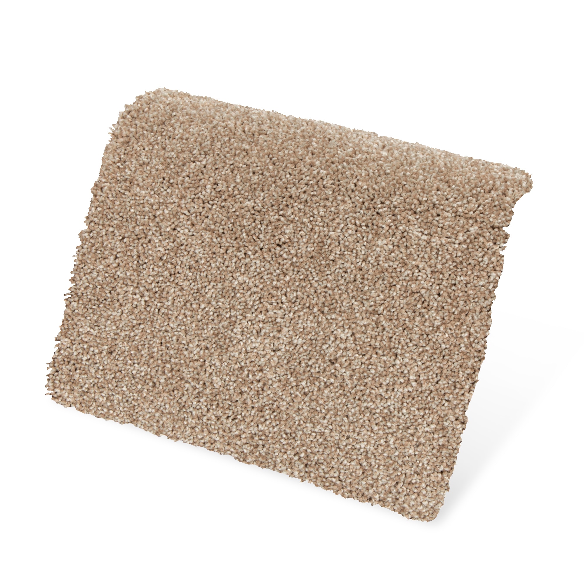 STAINMASTER PetProtect SS022-12-L012 Carpet-Panel - View #3