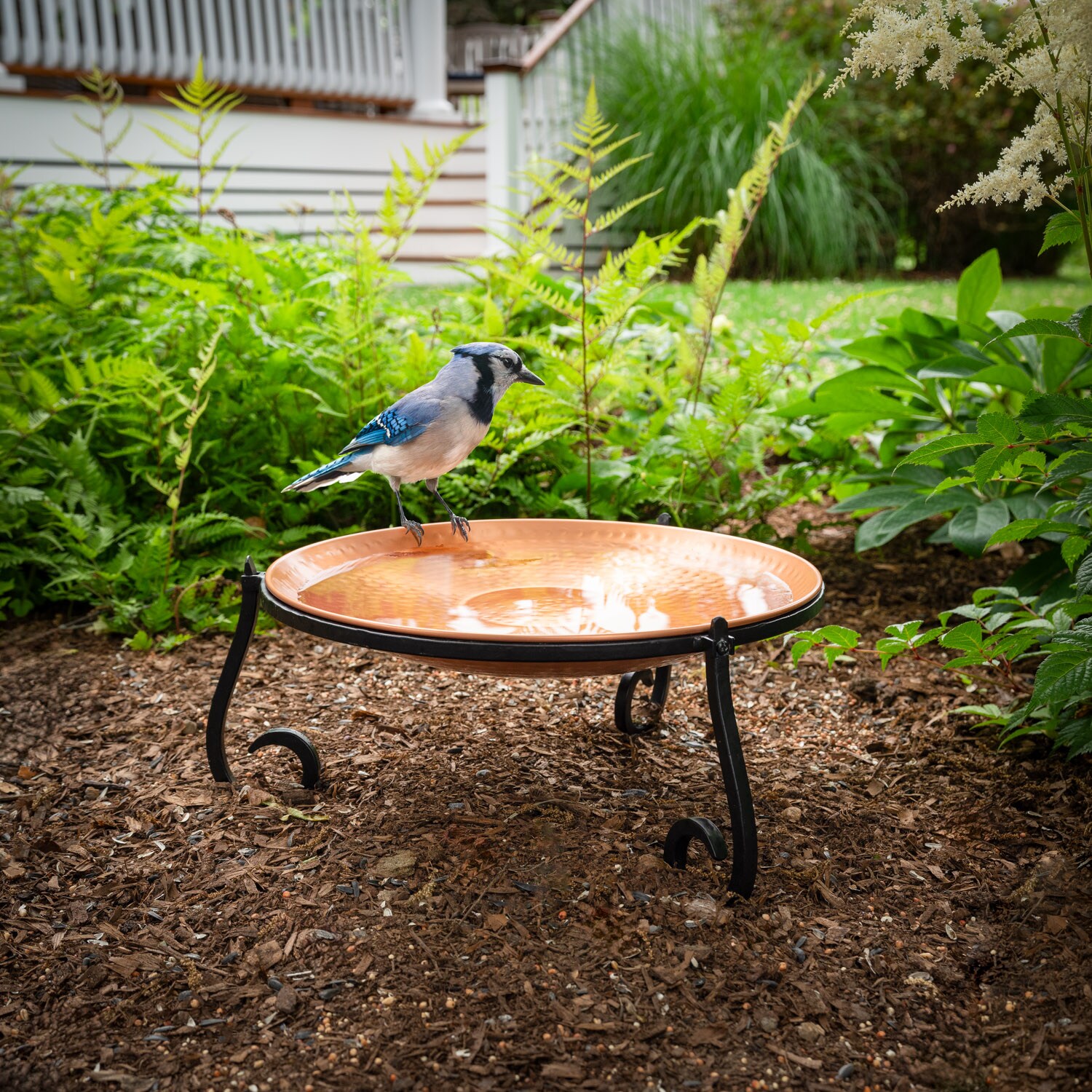 Good Directions BB-1 birdbaths - View #2