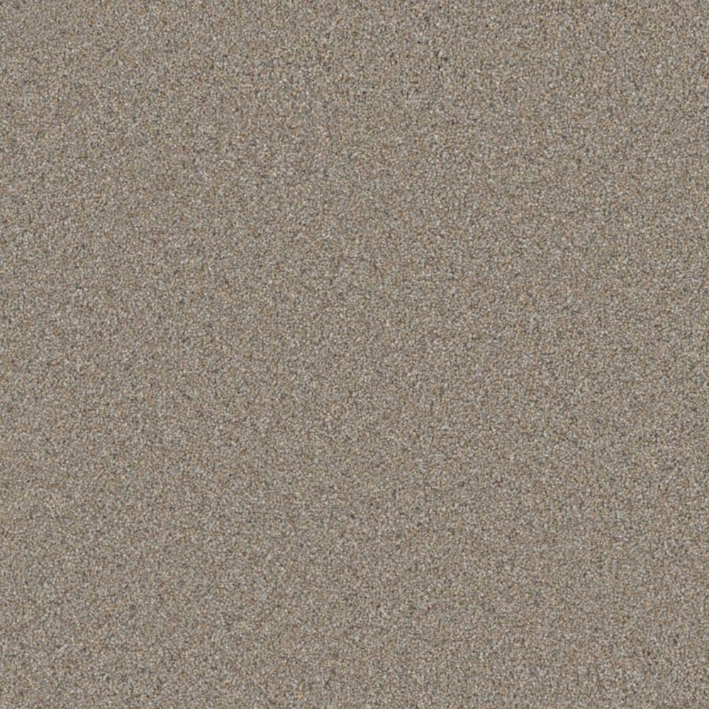 STAINMASTER S9250-937-1200-MO Half Moon Cotton Gray 50-oz sq yard Polyester Textured Indoor Carpet