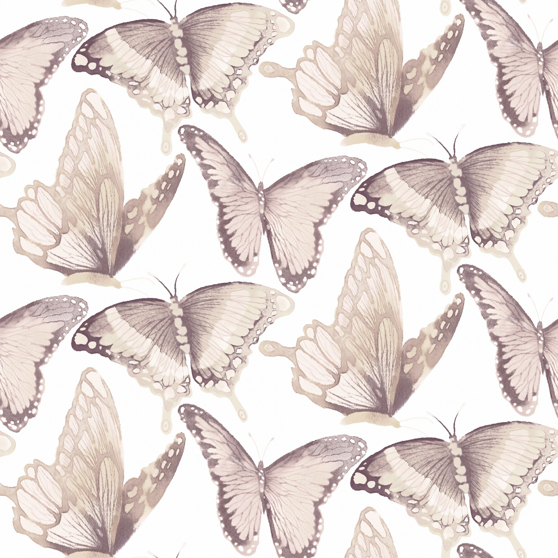 pink and white butterfly wallpaper