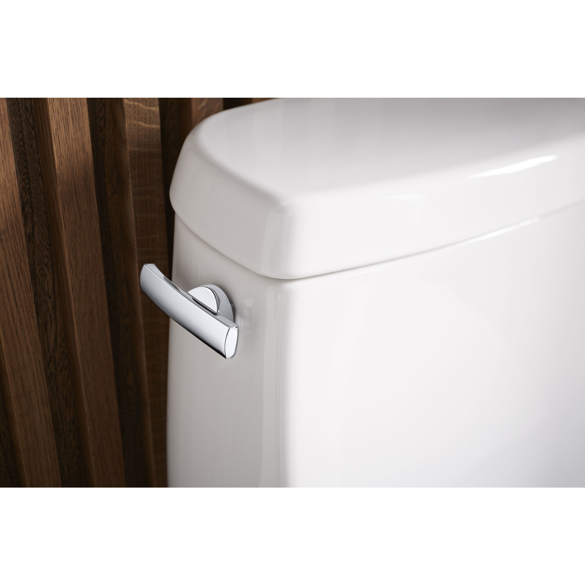 KOHLER K-30919-L-BL Flush-Lever - View #2