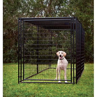 Pet Sentinel Any Pet Welded Steel Dog Kennel with Roof Outdoor 10 ft L x 5 ft W x 6 ft H in the Crates Kennels department at Lowes