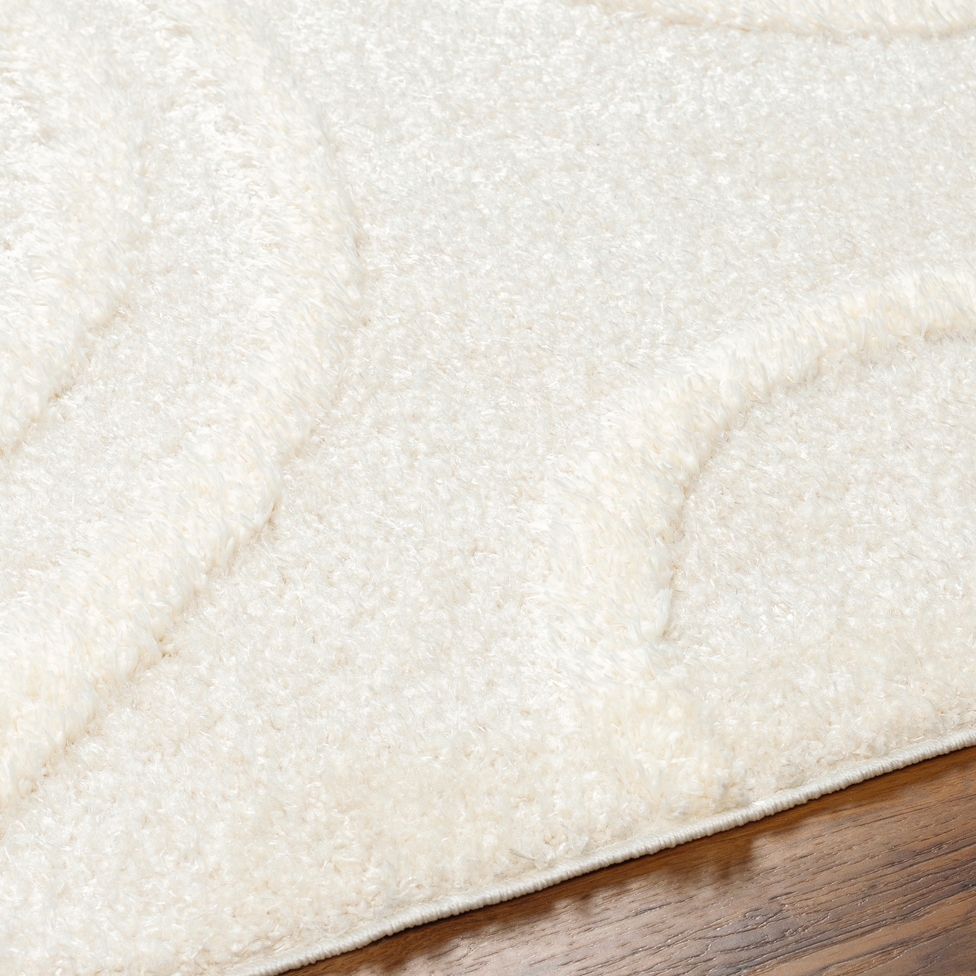 Livabliss RDO2341-71010 rugs - View #4