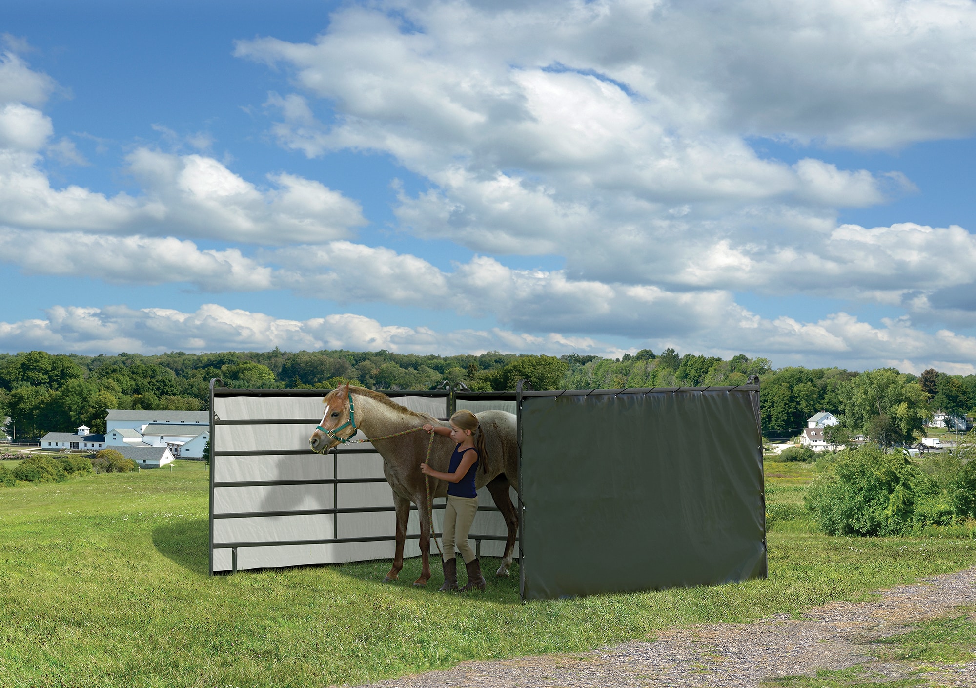 ShelterLogic 51483 Horse-Stalls - View #8