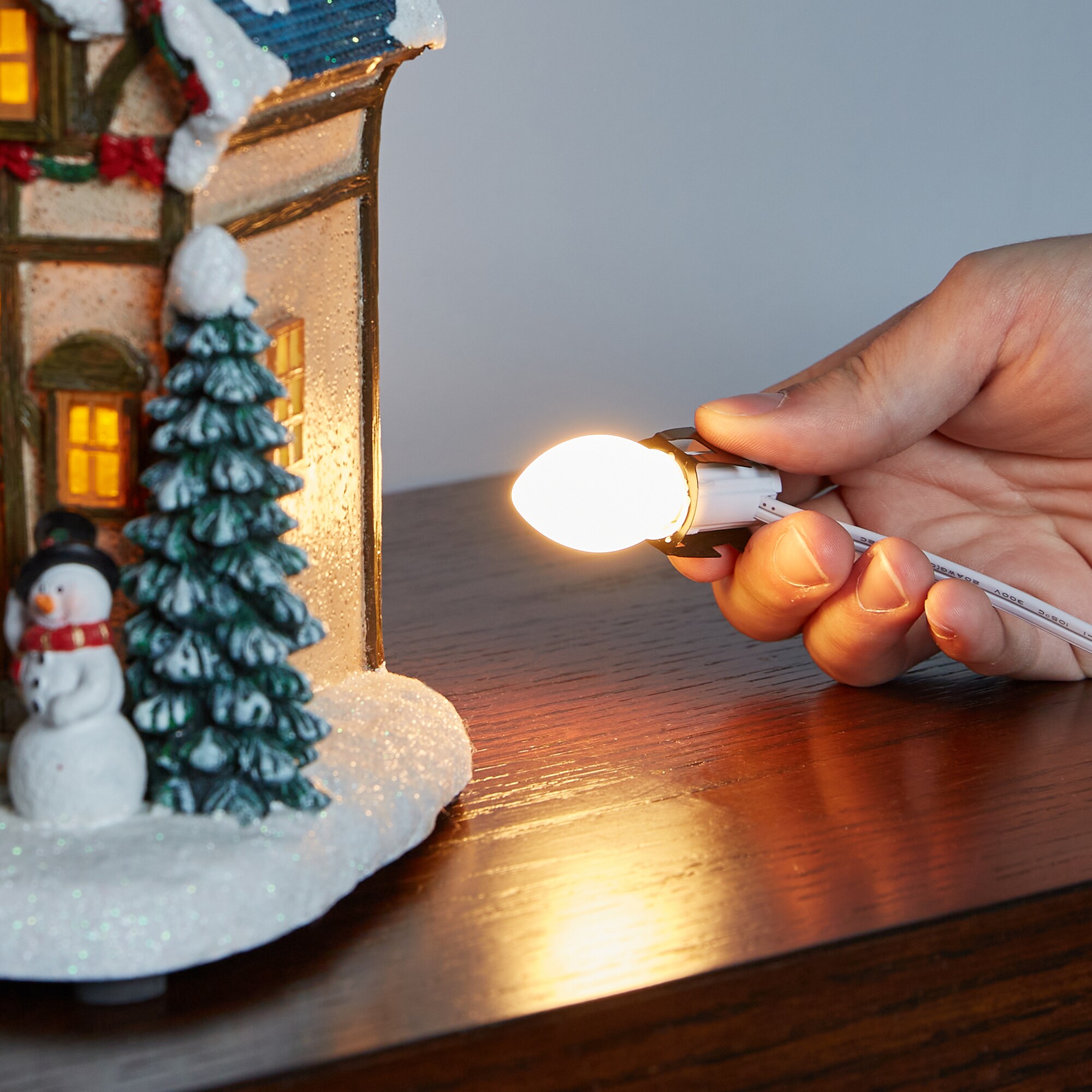 Holiday Living Lighting Control at