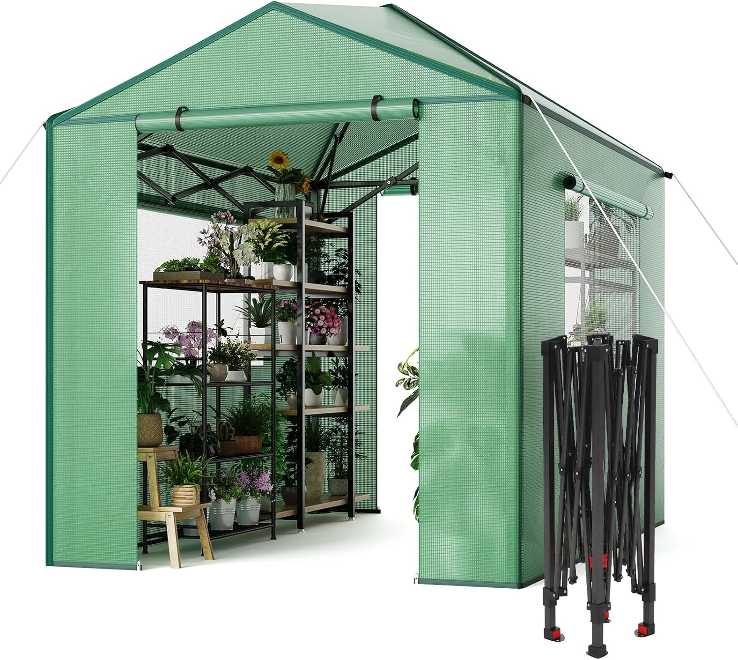 Qeetex LMY-PHO-16OD9QRC 6x8 FT Portable Greenhouse for Outdoor Wall in Pop Up Greenhouse for Gardening Plant Double Frame PE Cover Grow Tent for Winter
