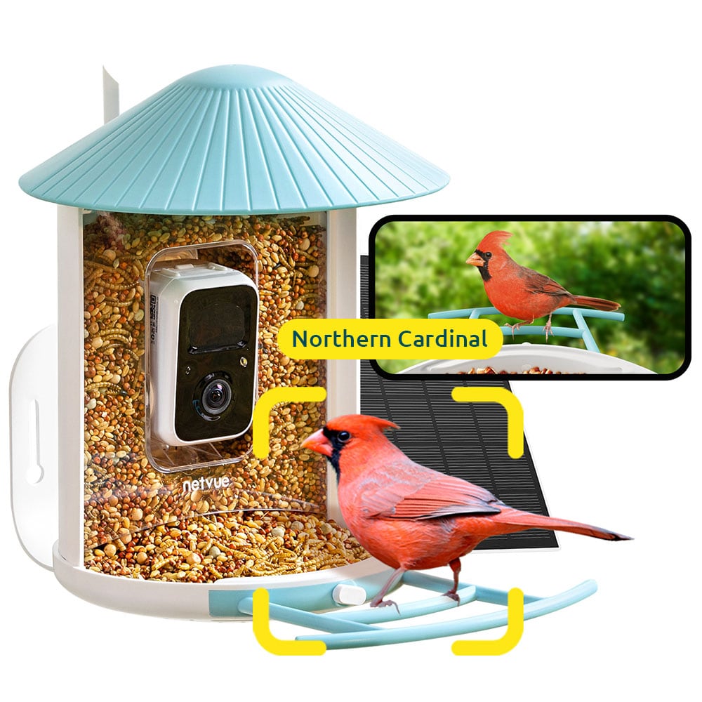 Birdfy NI-8101 Plastic Post-mount Seed/Suet Bird feeder - 3.3-lbs