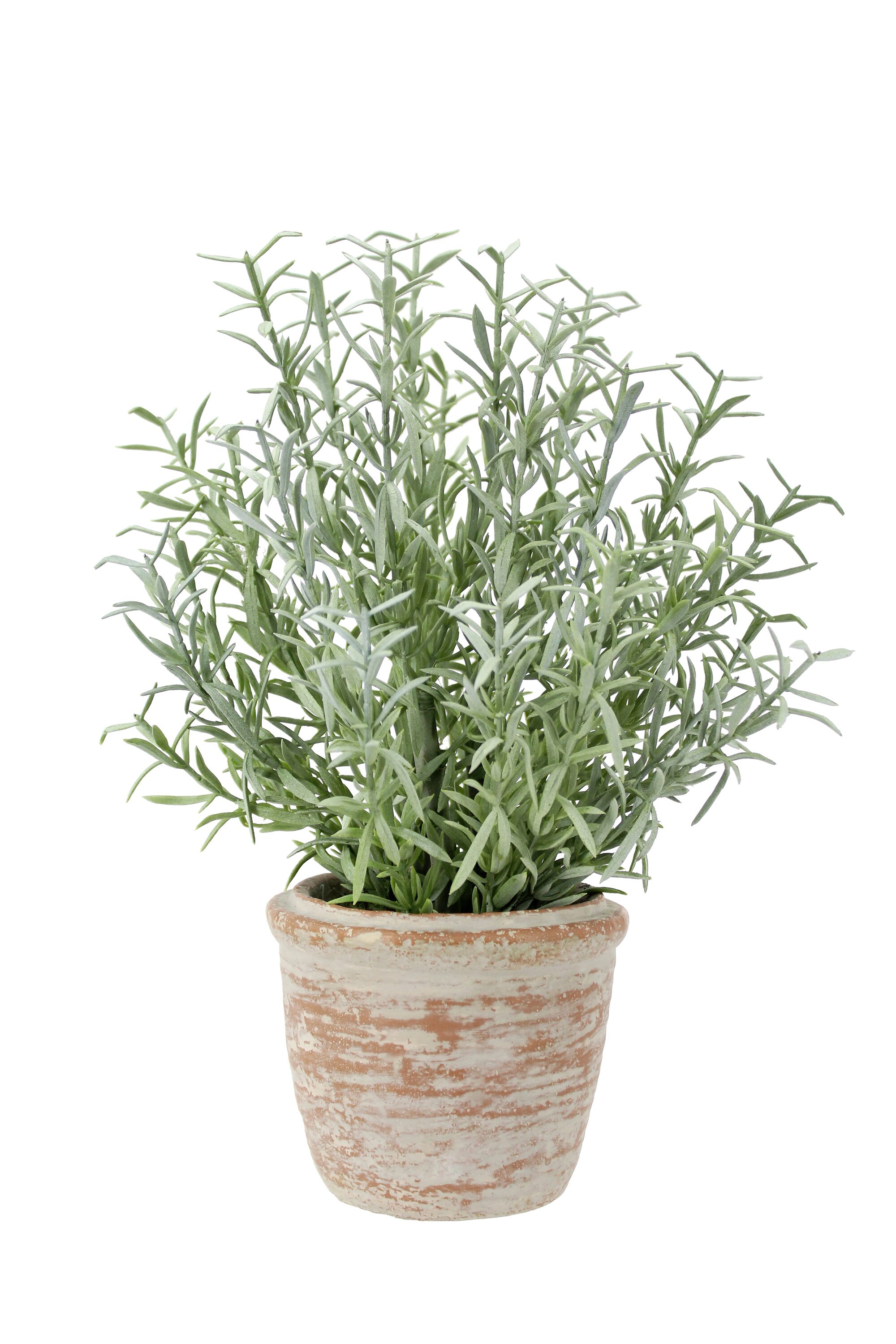 CG Hunter 2PK-24007 Artificial-Plants-Trees - View #8