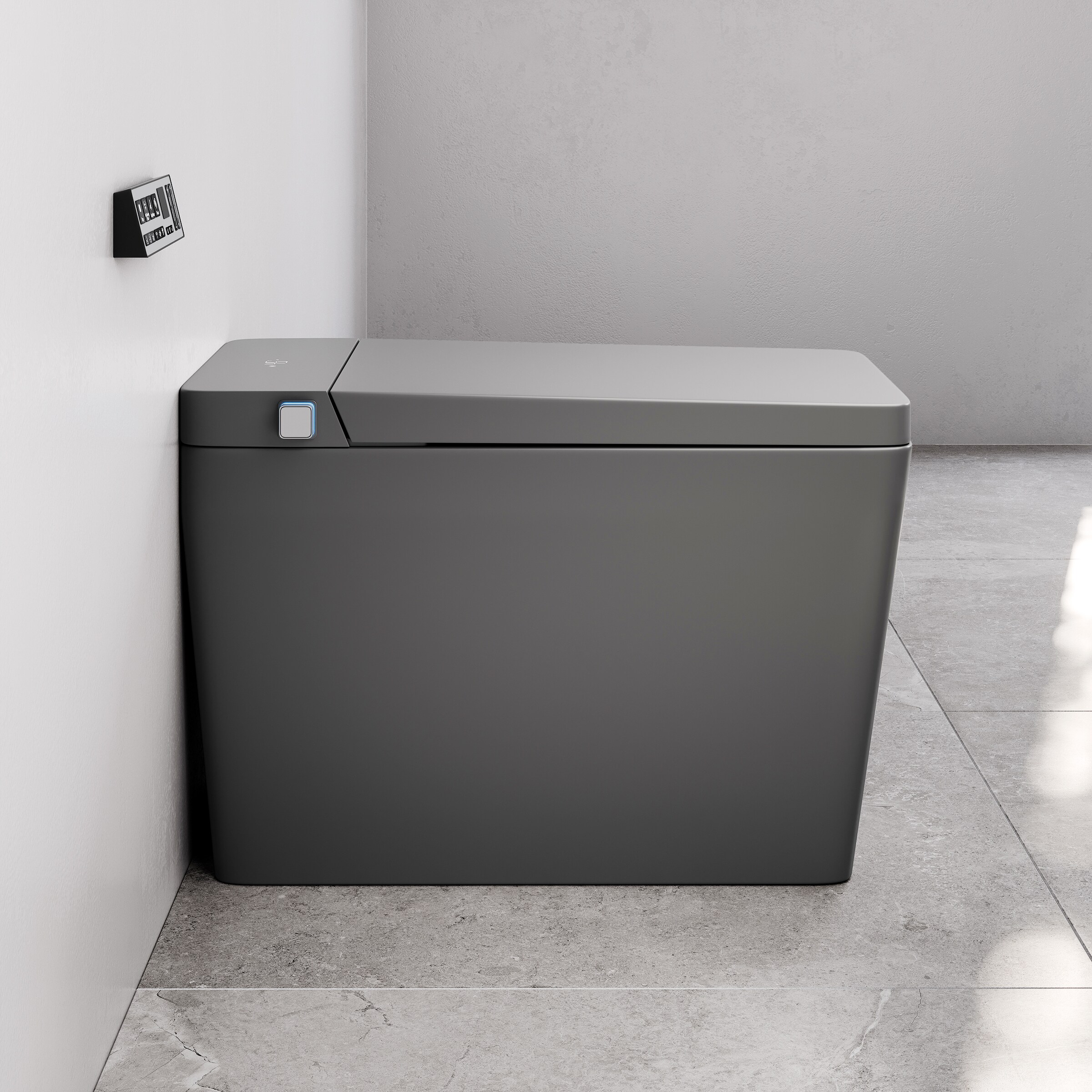 Swiss Madison SM-25-STBAS01MG toilets - View #8