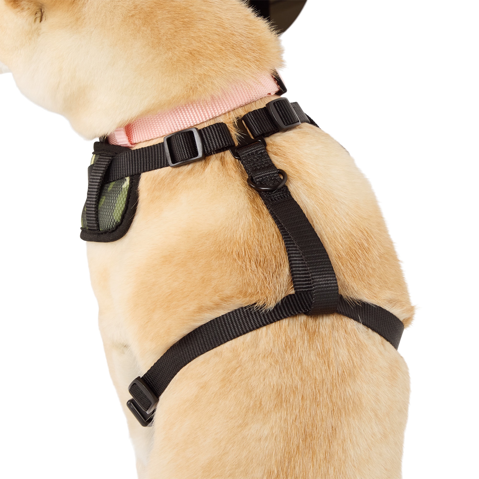 Youly 3877596 Dog-Collars-Harnesses - View #5
