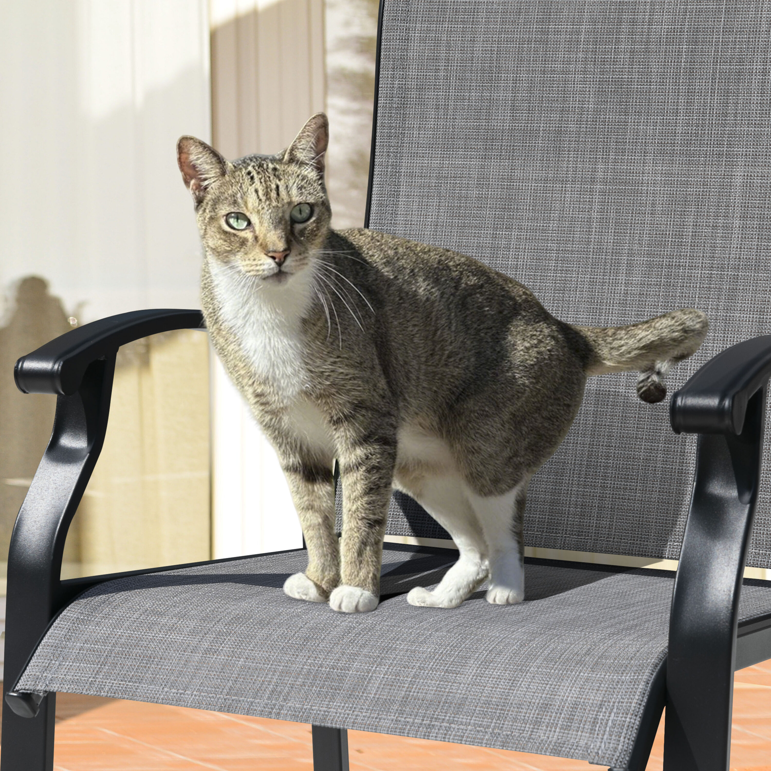 Nuu Garden DB140H-LS Patio-Chairs - View #3