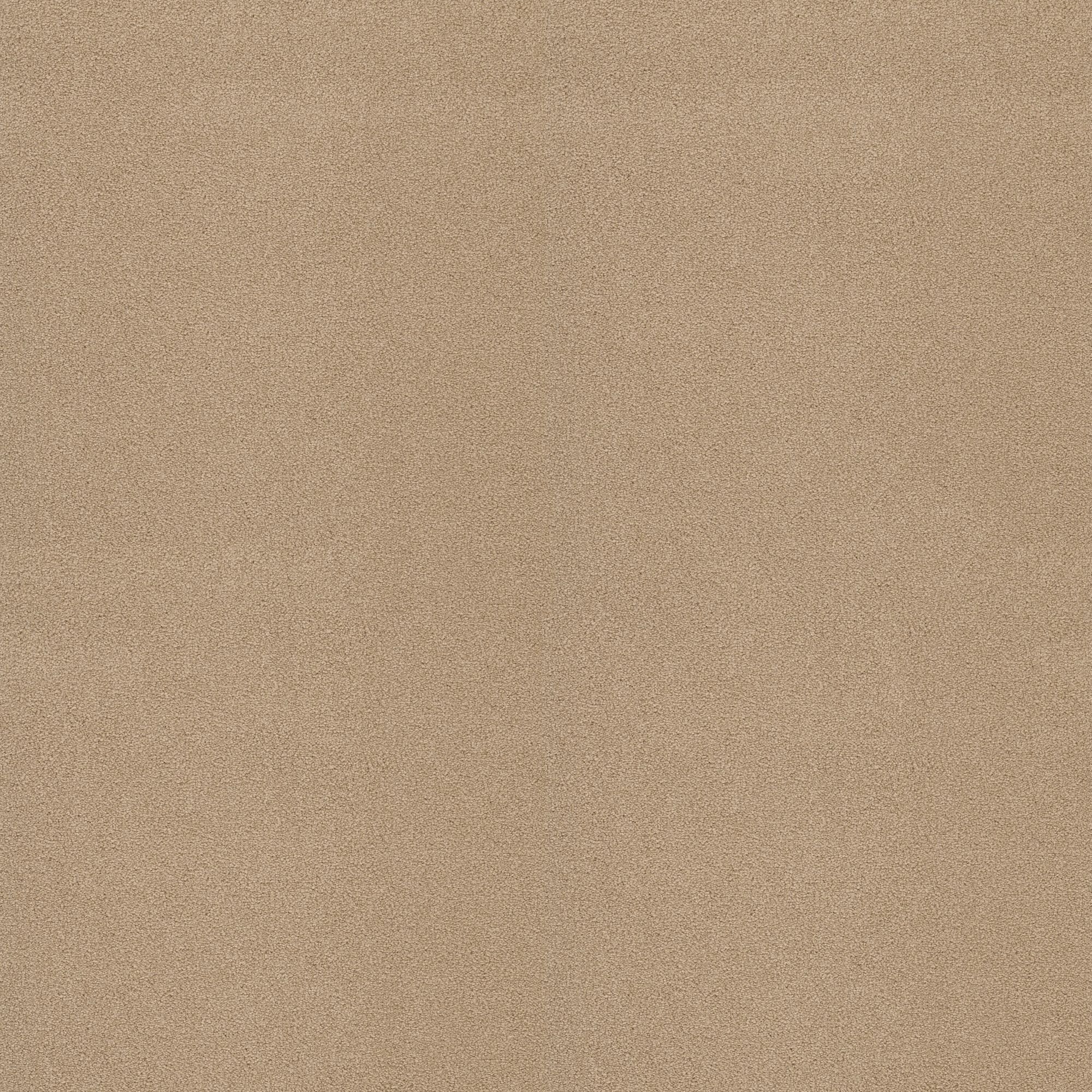 STAINMASTER PetProtect 7L88200110 Best Of Breed II Rattan Brown 58.5-oz sq yard Nylon Textured Indoor Carpet