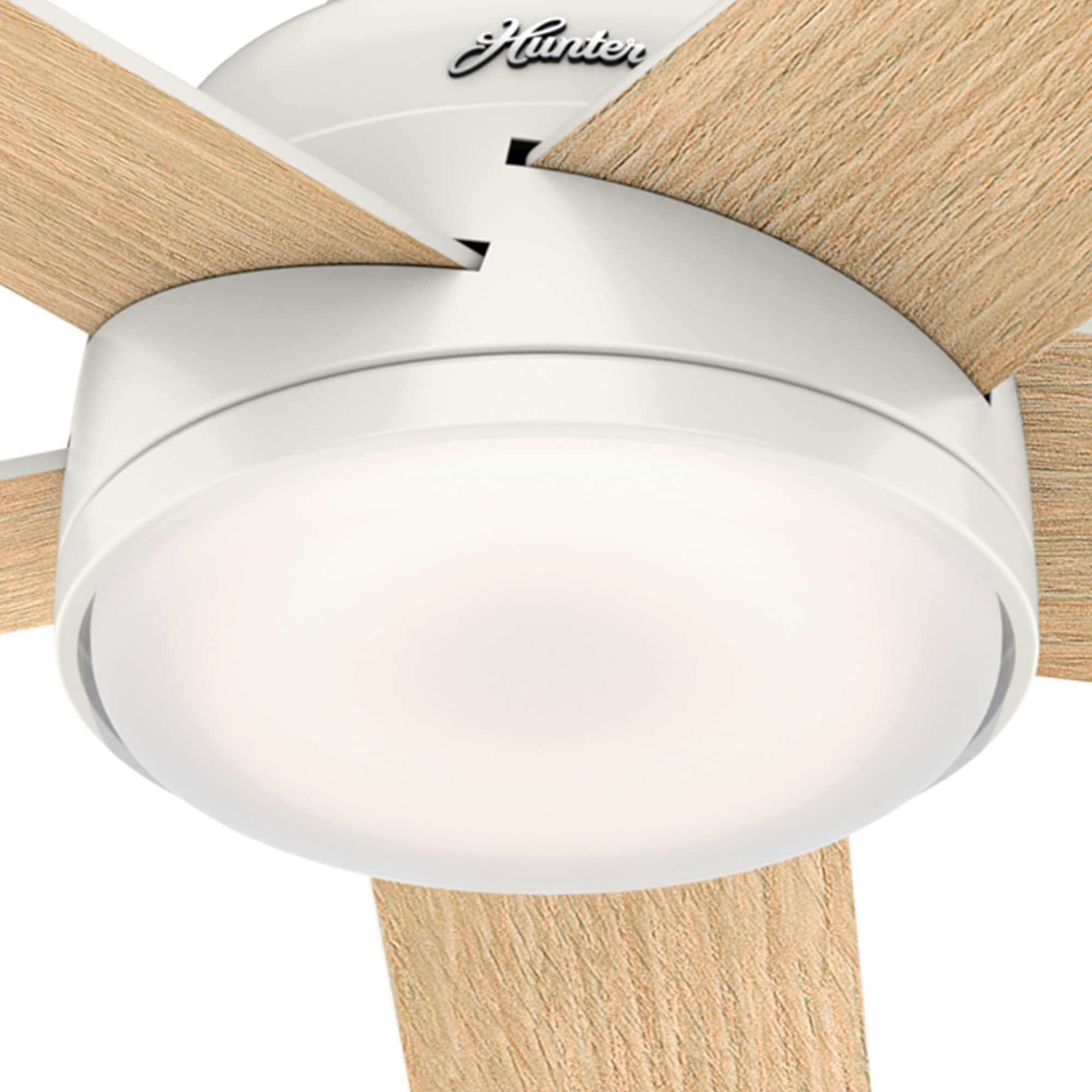 Hunter 59478 Ceiling-Fans - View #14