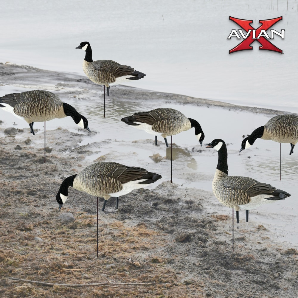  Avian X 408518 Hunting-Equipment - View #11
