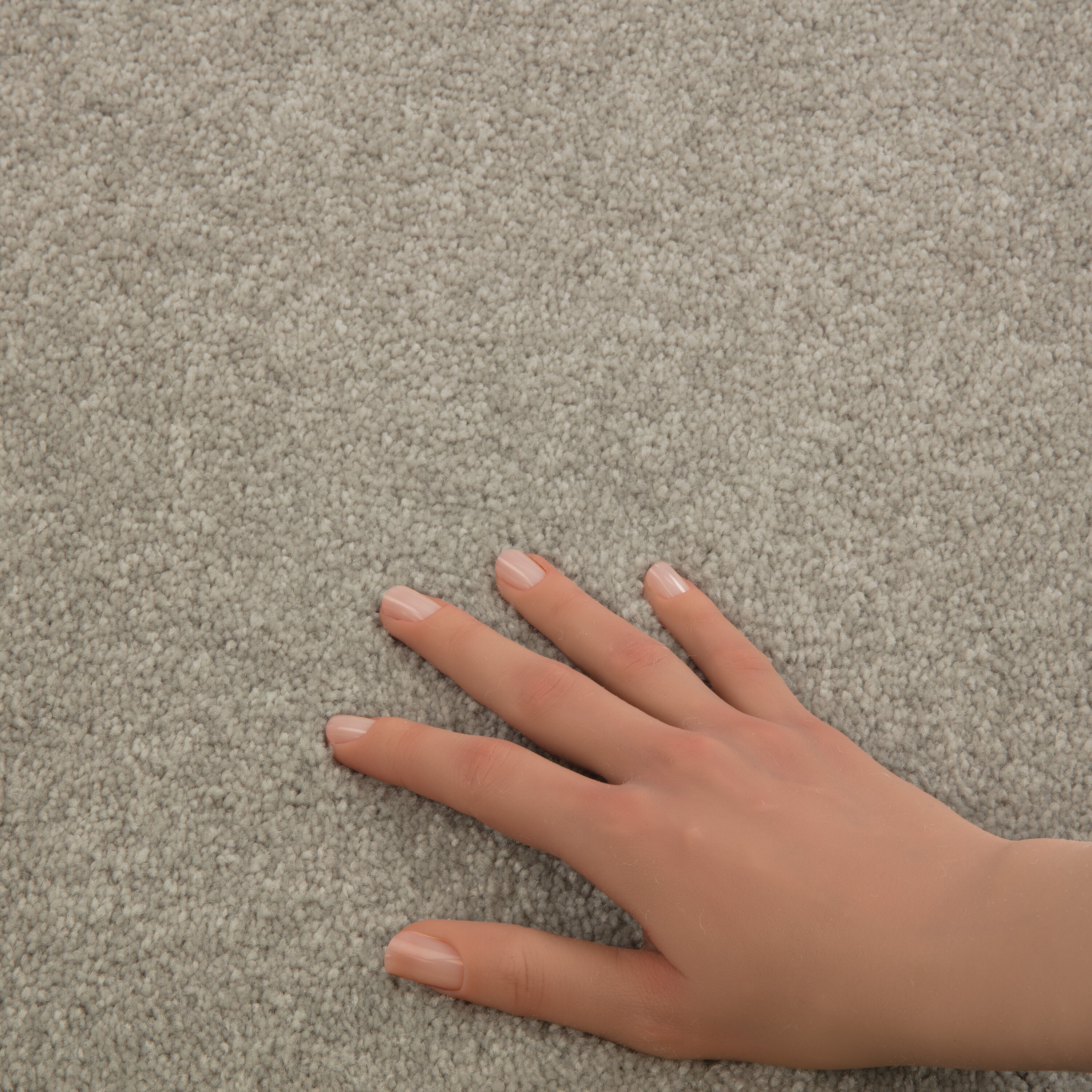 STAINMASTER 7L76600106 Carpet-Panel - View #5