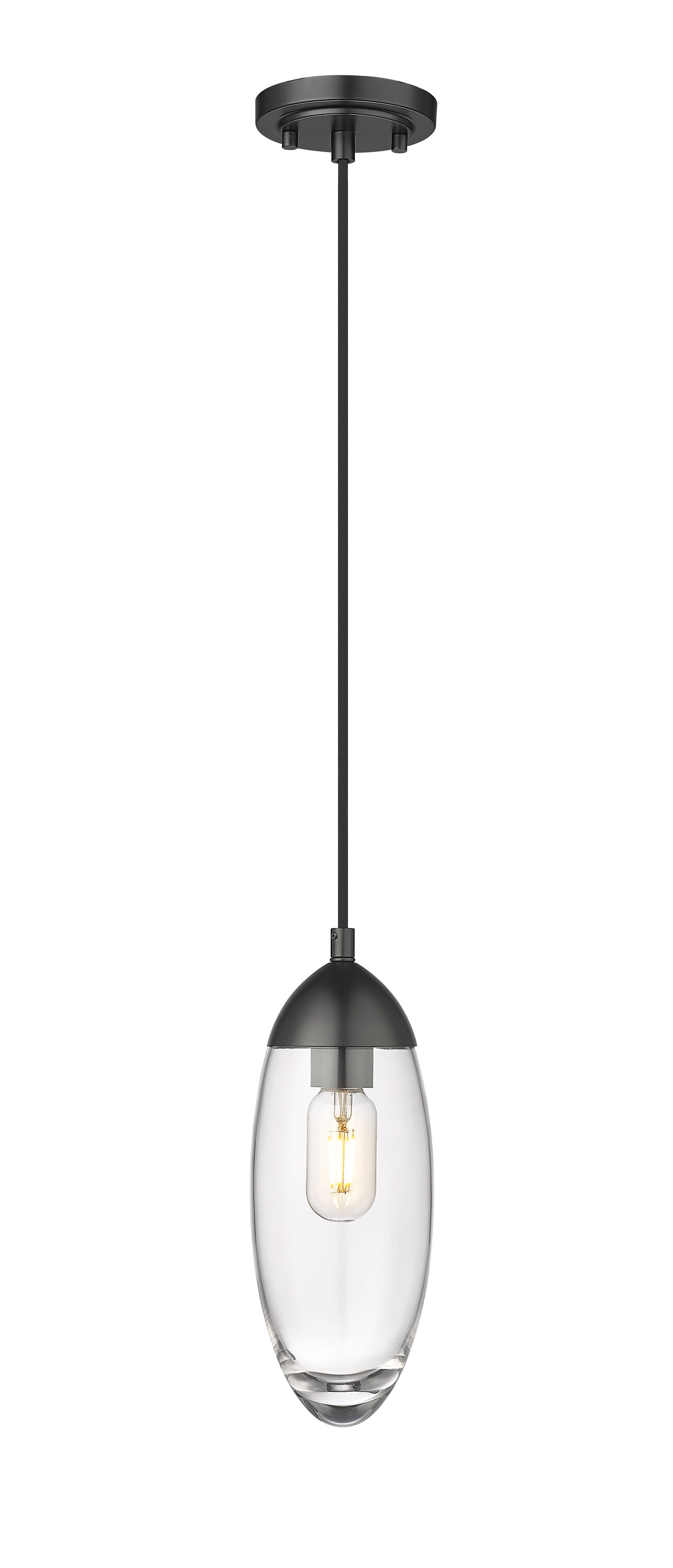 Matte Black Glass and Nickel Indoor/Outdoor Pendant Light