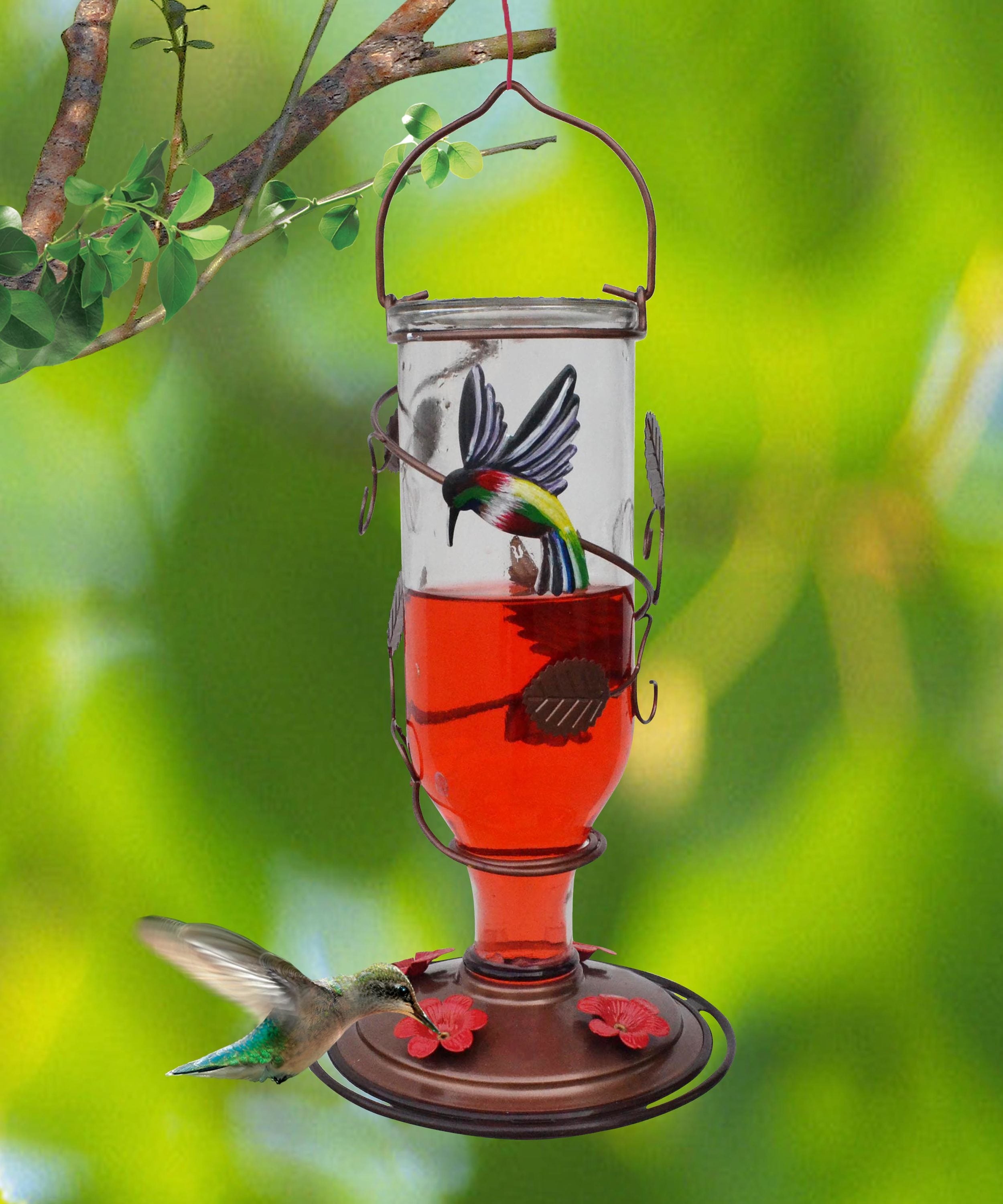 birds cafe hummingbird feeder