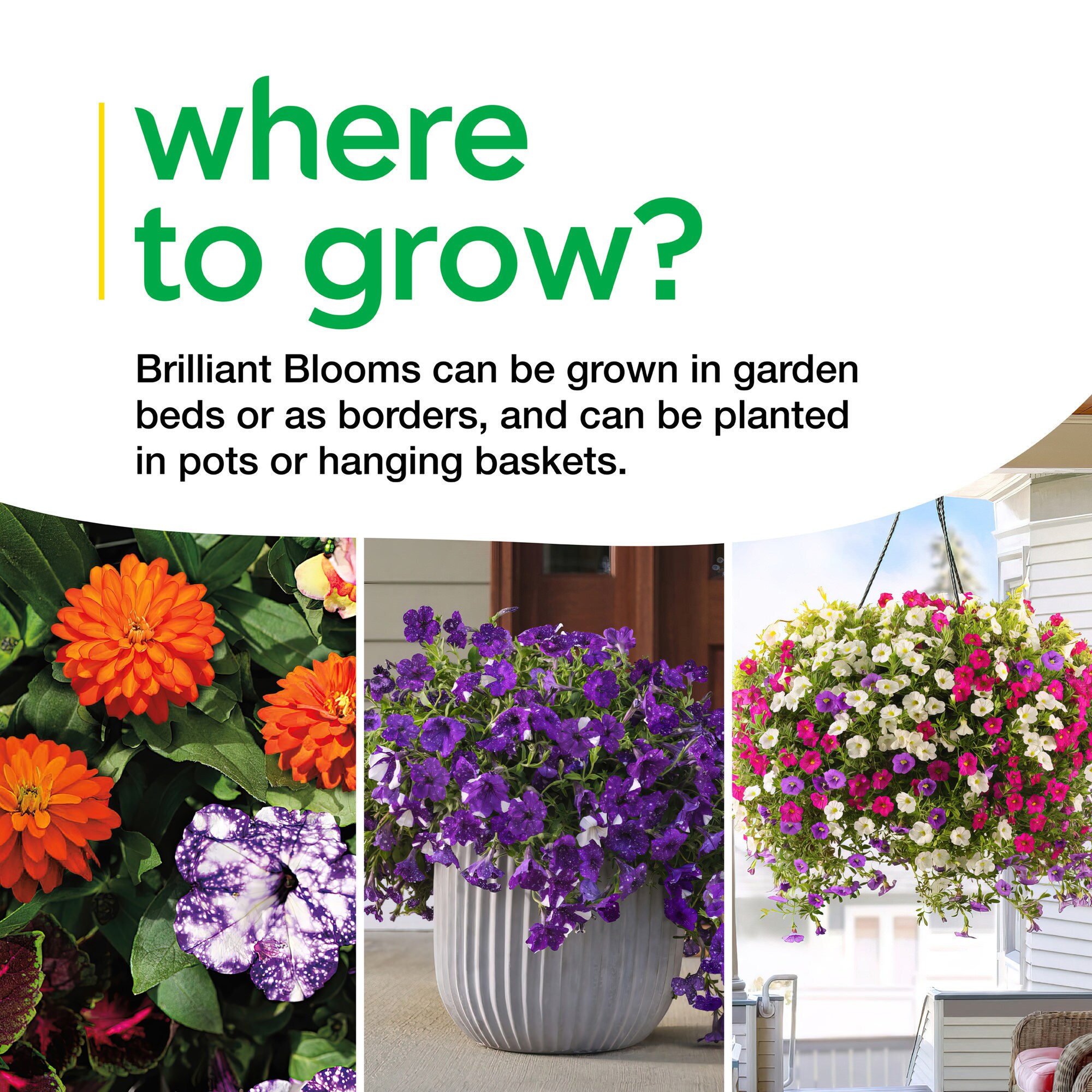 Miracle-Gro 25-524355 annuals - View #9