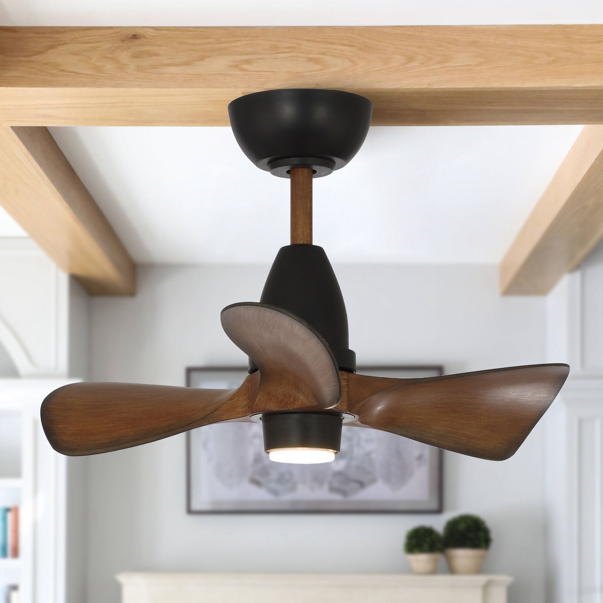 Parrot Uncle F6263110V Ceiling-Fans - View #3