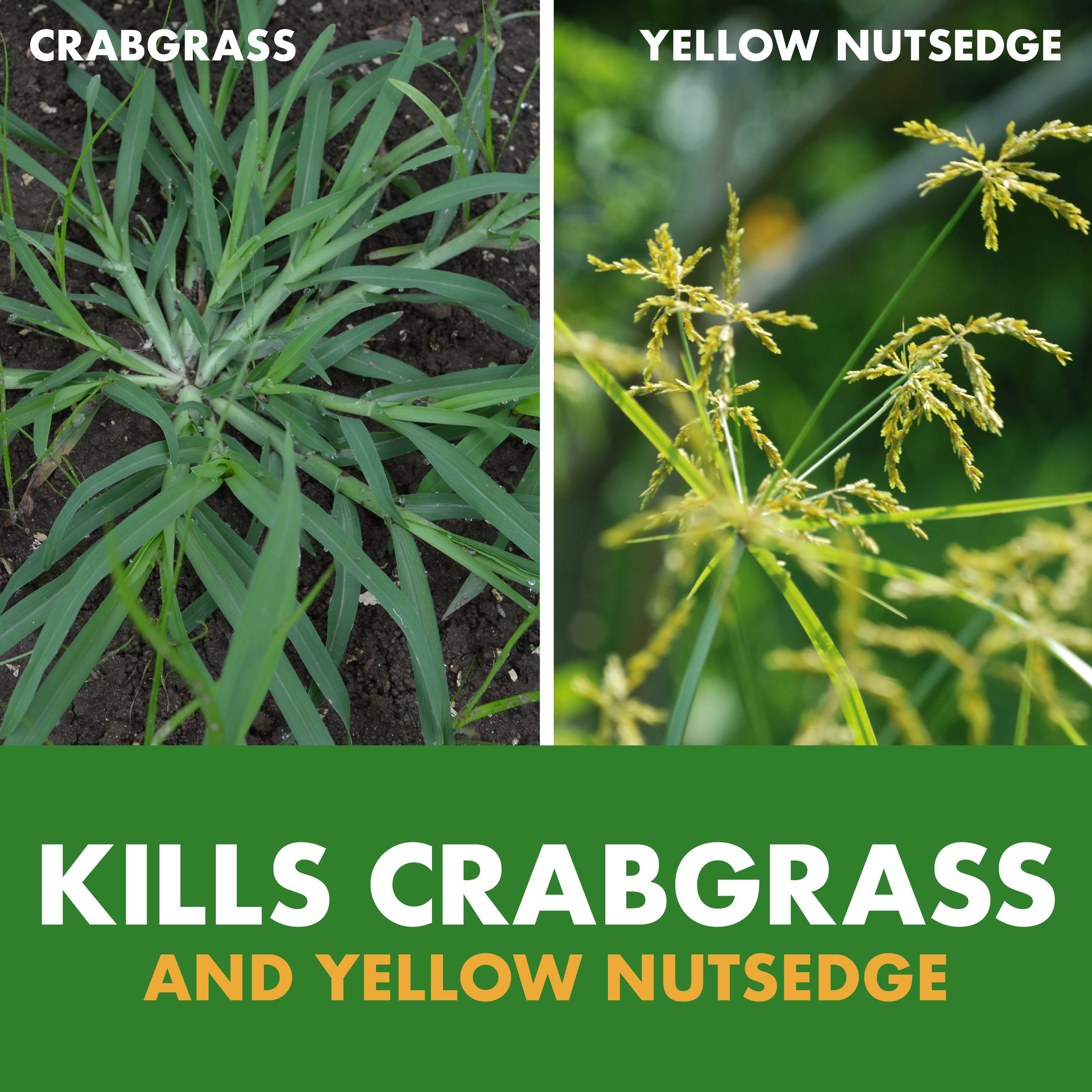 Spectracide HG-96589 Weed-Killers - View #8