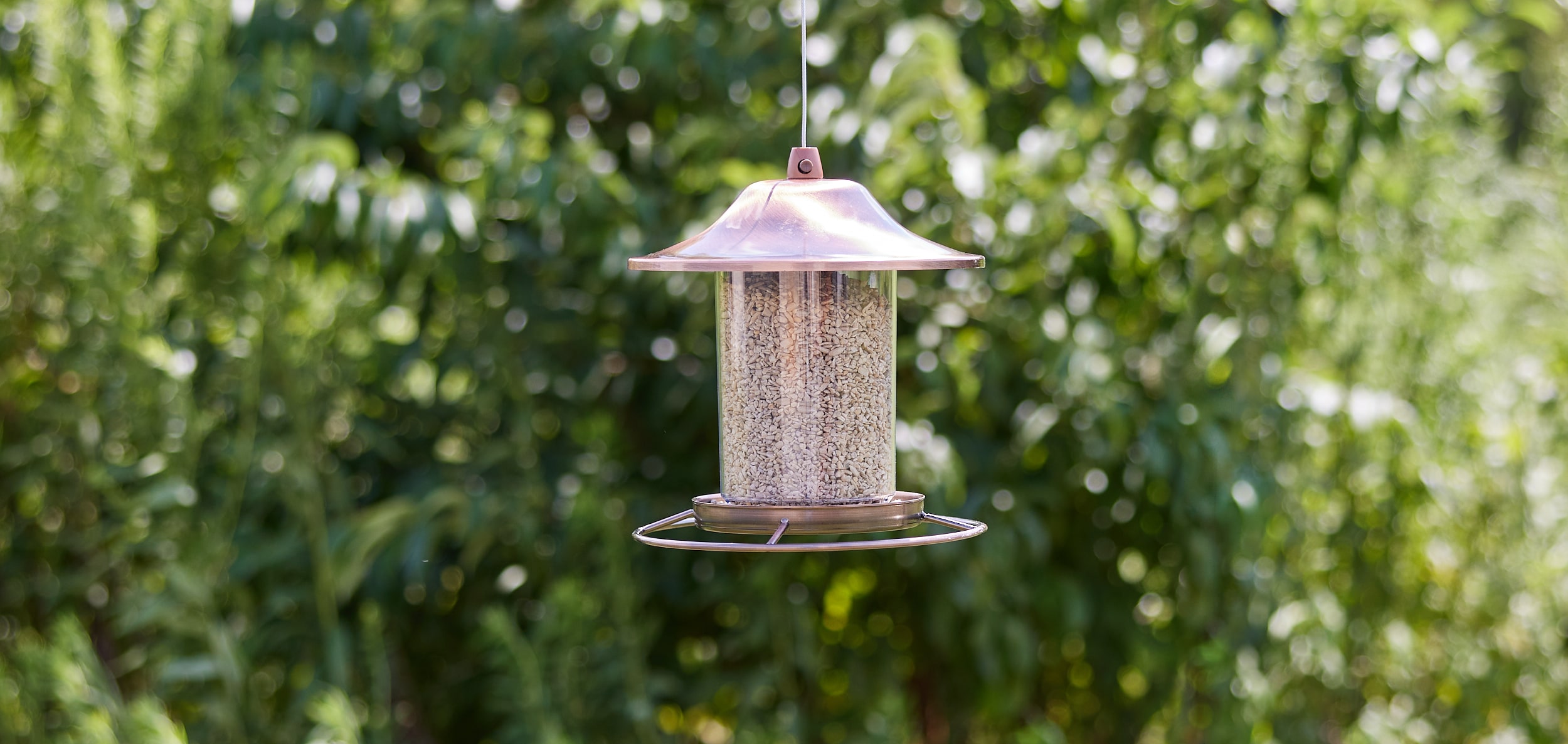 National Audubon Society 009463 Bird-Squirrel-Food - View #4