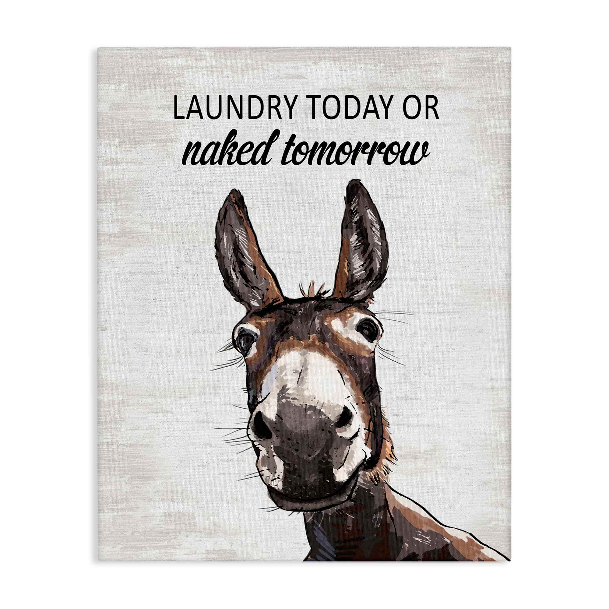 Stupell Industries BS-874-CN-24X30 Laundry Today Naked Tomorrow Donkey Canvas Wall Art By Lettered and Lined 24 x 30