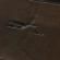 Mahogany (Burnished)