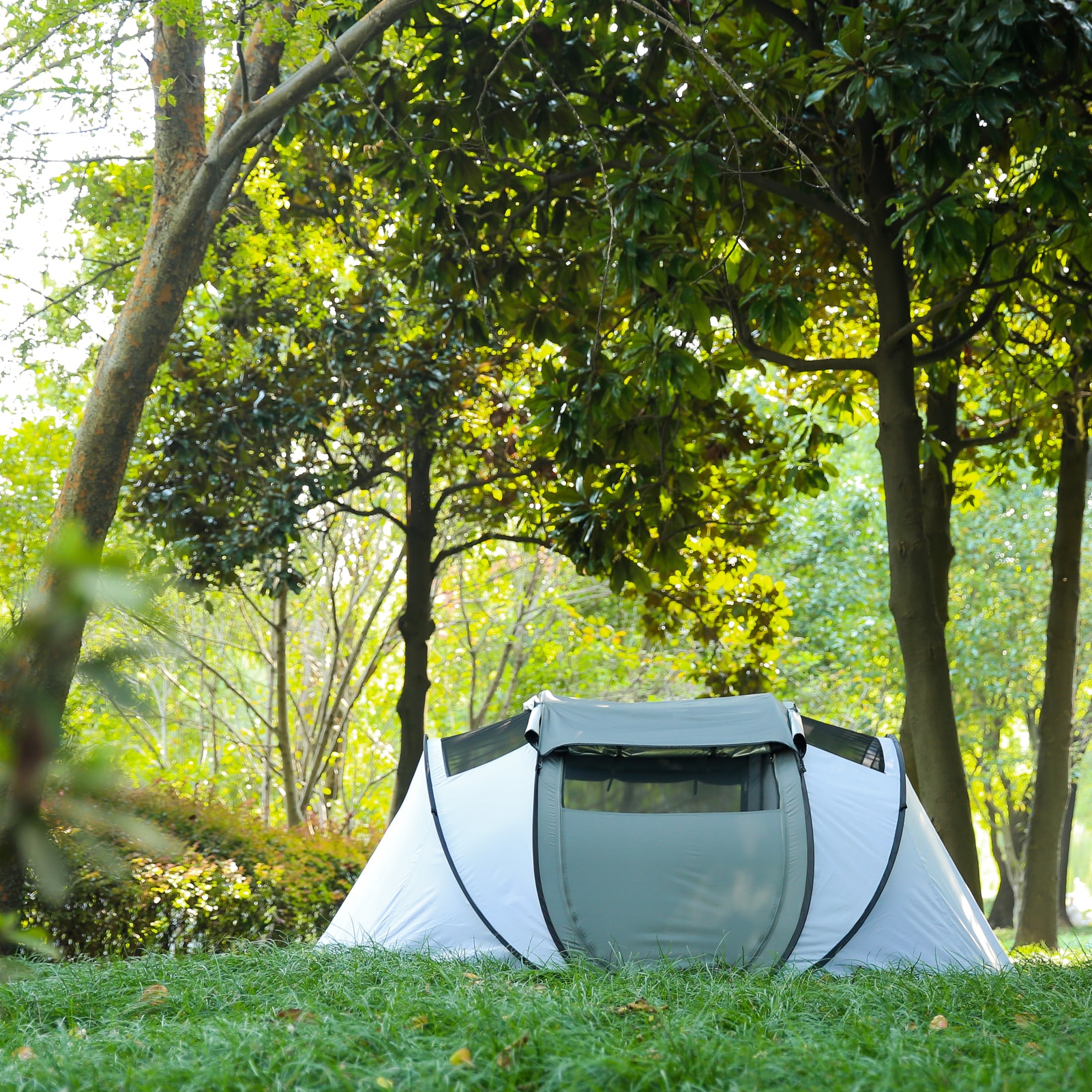 TERRUI TER-LTT280GBW tents - View #13