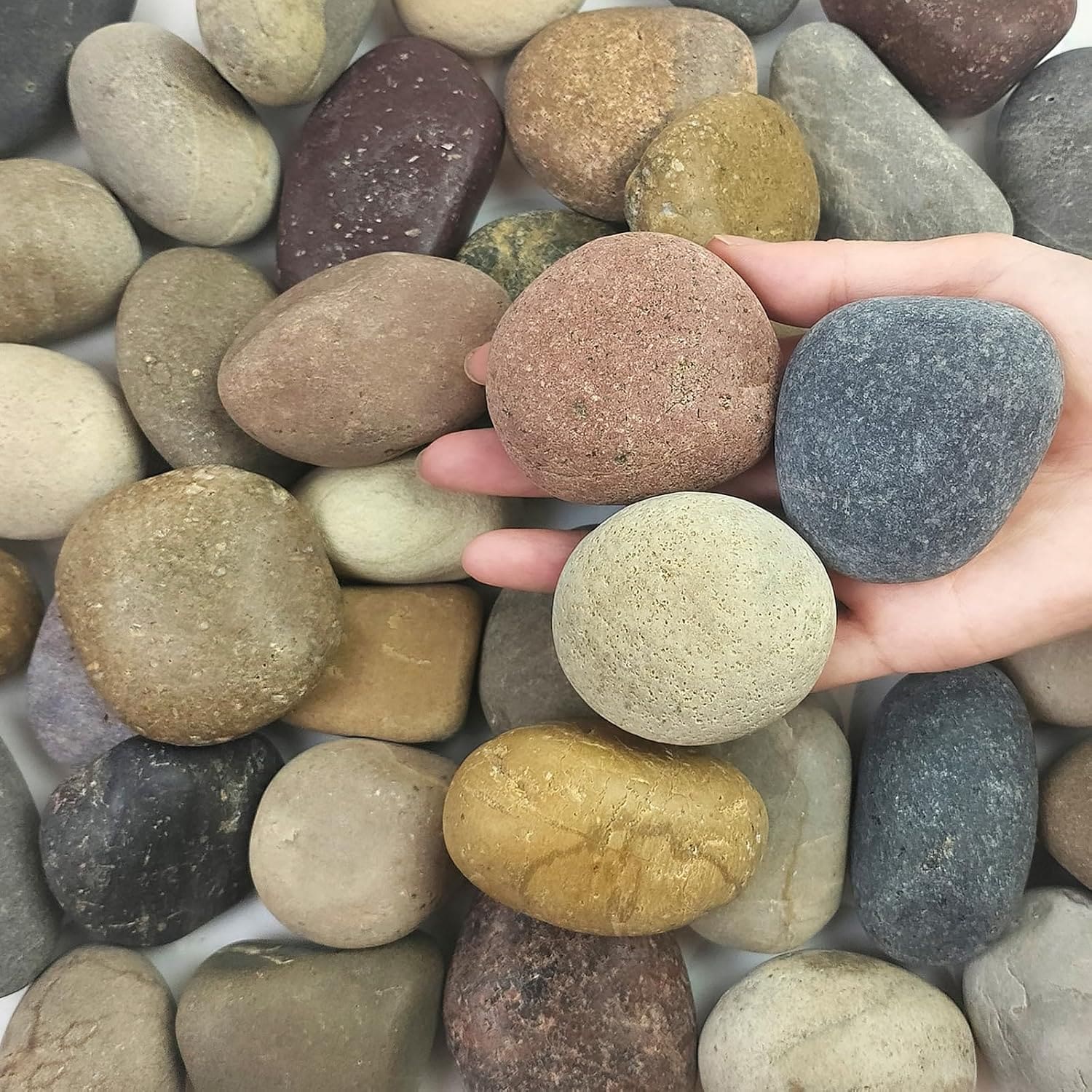 FANTIAN 5 lb Natural River Rocks 2 to 3 Inch Large Decorative Pebbles for Aquarium Fish Tank Garden Fountain Walkways and Outdoor Landscaping