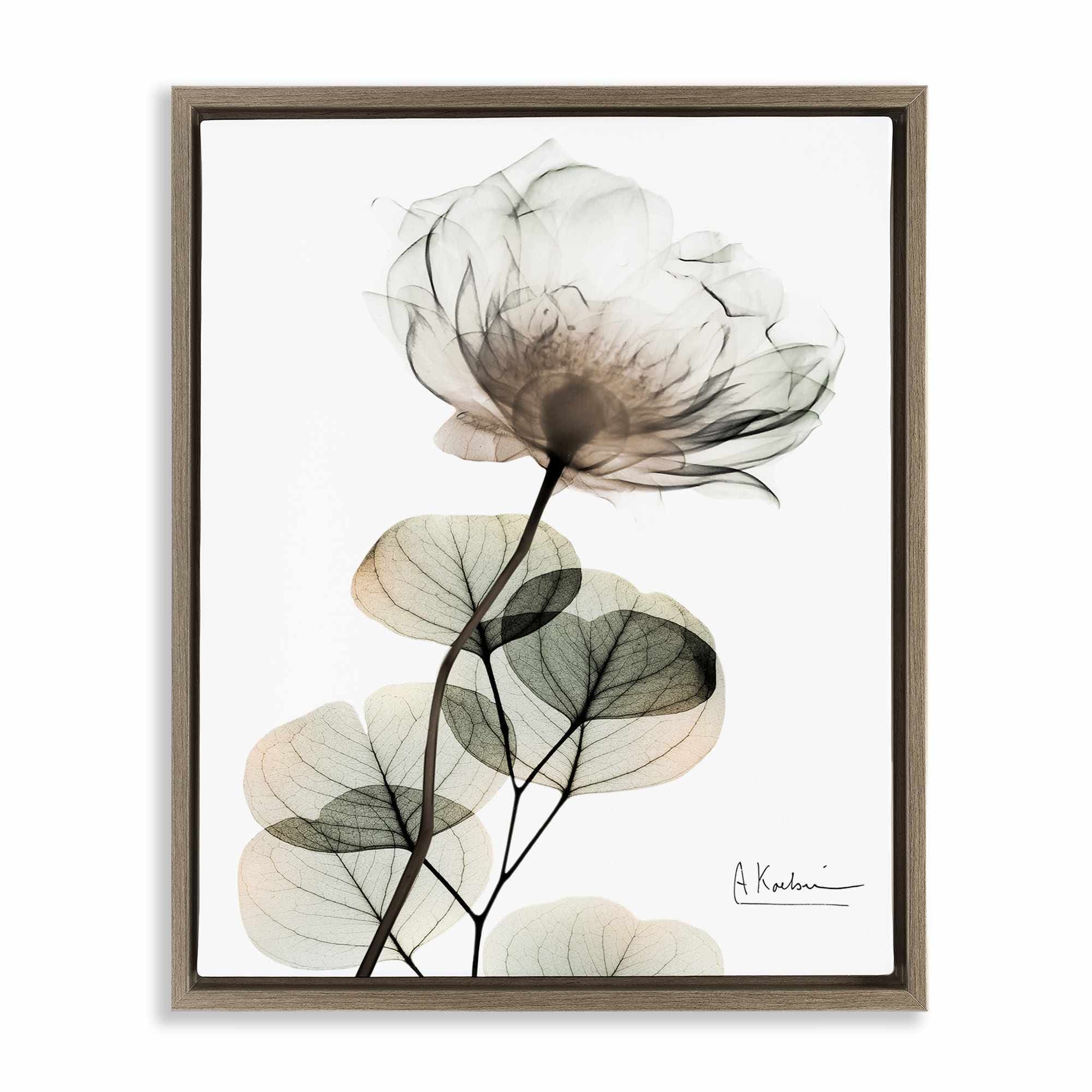 Stupell Industries BS-029-FFE-24X30 Simple Elegant White Flower Floating Frame design by Albert Koetsier