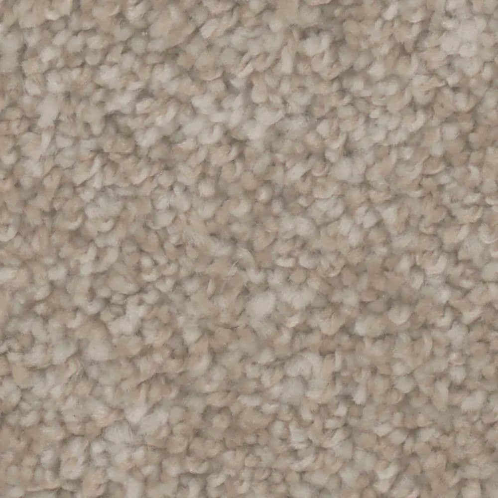 STAINMASTER S9977-20002-S (Sample) Sandy Brown 77-oz sq yard Polyester Textured Indoor Carpet