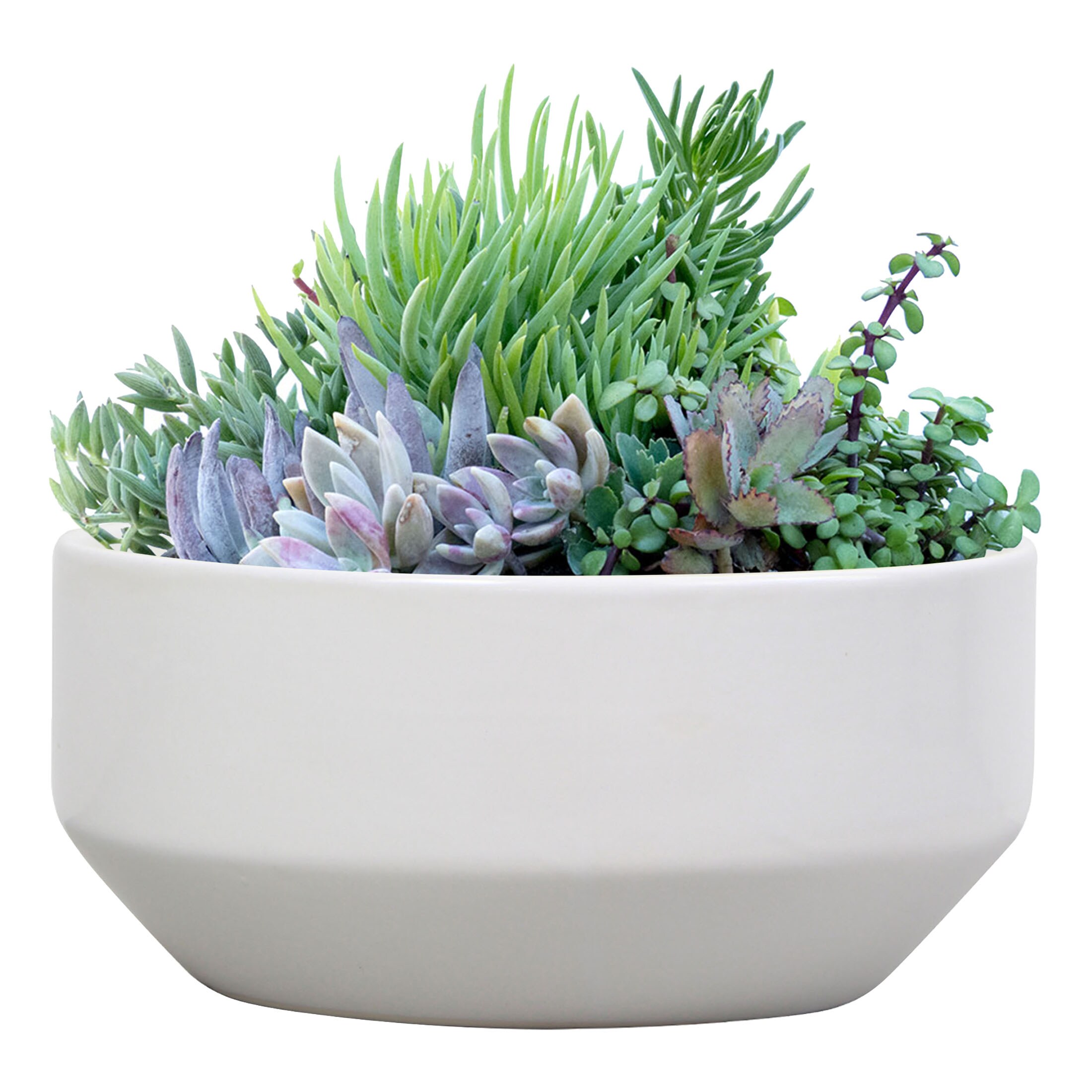 allen + roth CR01931N-10W Planter-Window-Box - View #4