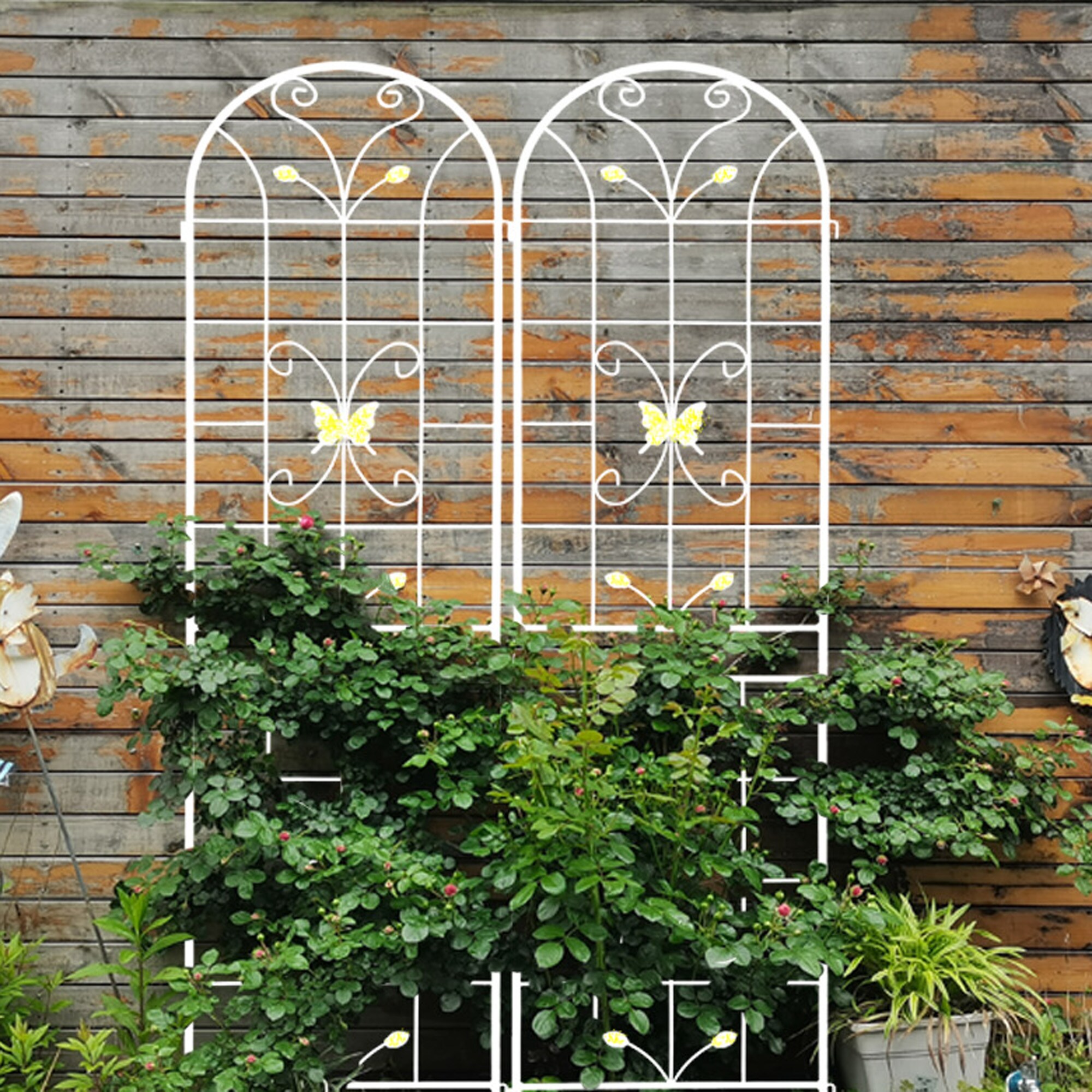 AHIOU HOME ZAAHG-P151261GT Garden-Trellis - View #5