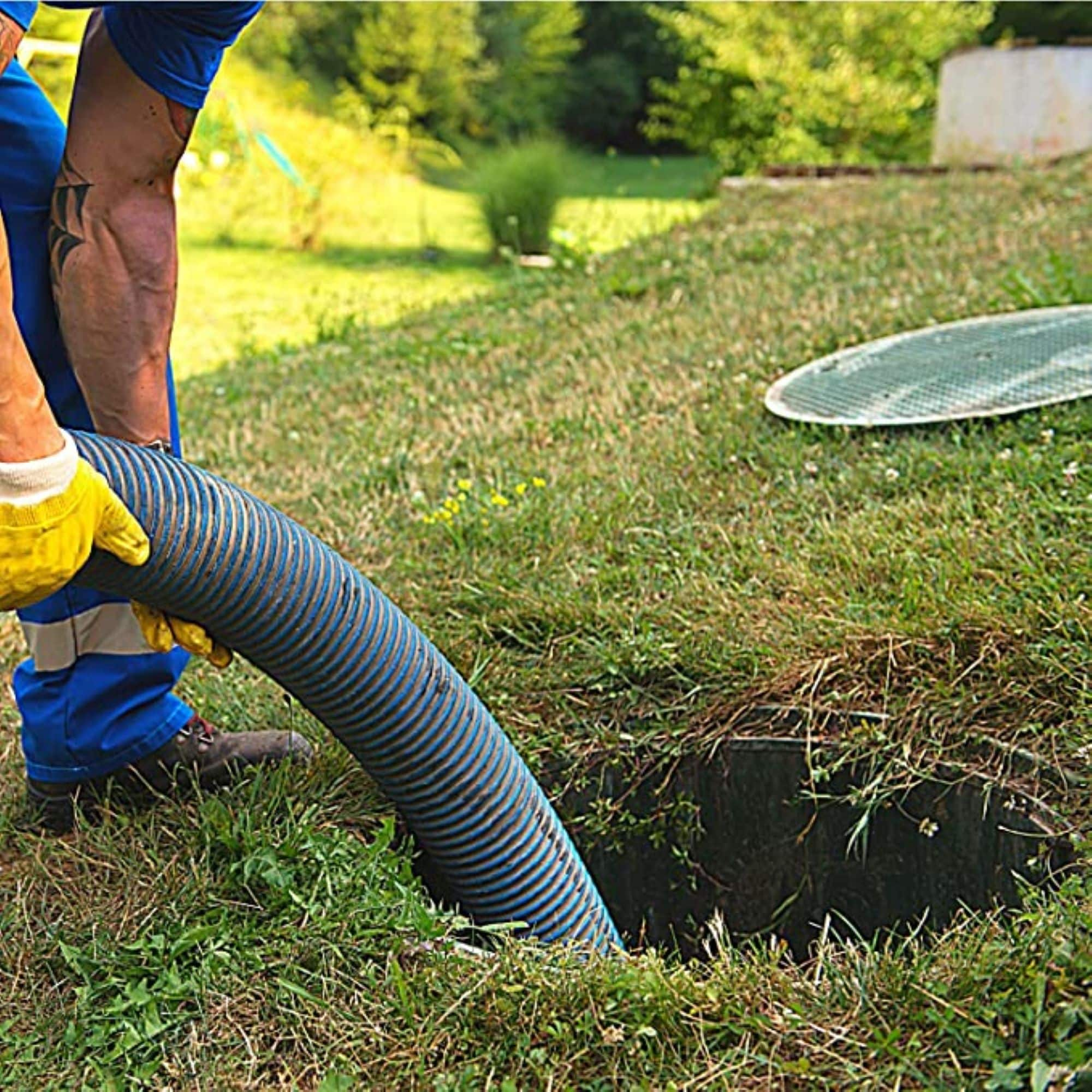 Zep septic 2025 tank treatment lowe's