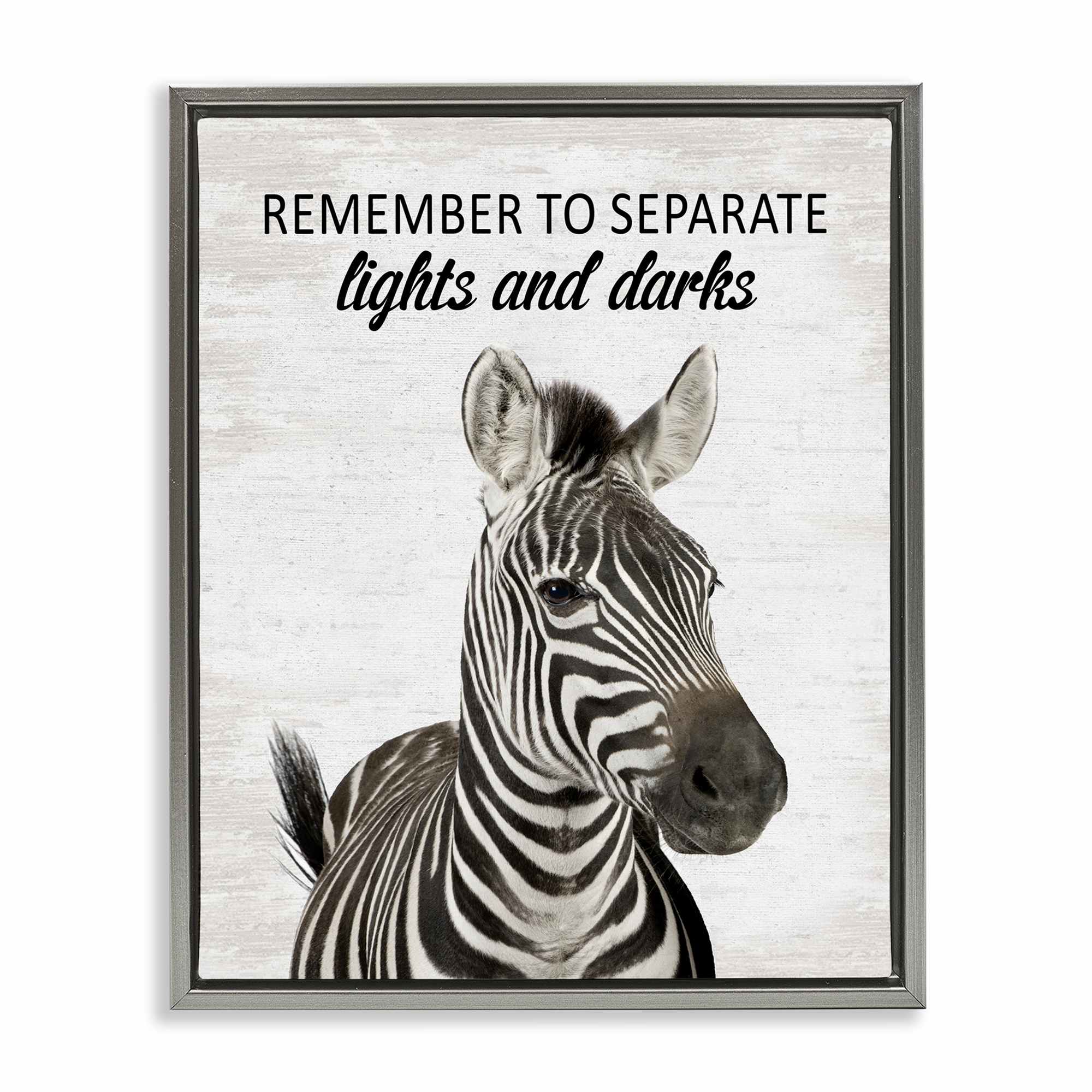 Stupell Industries BS-885-FFL-24X30 Remember To Separate Laundry Gray Framed Floater Canvas Wall Art By Lettered and Lined 25 x 31