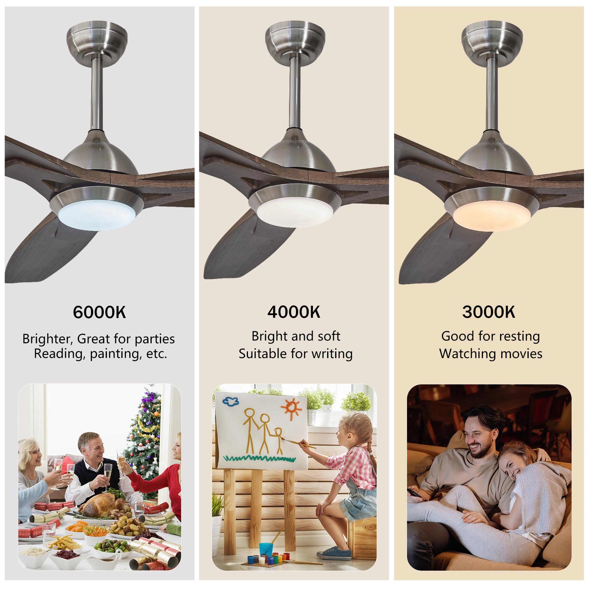 Bayfeve BF-442982-MP Ceiling-Fans - View #12